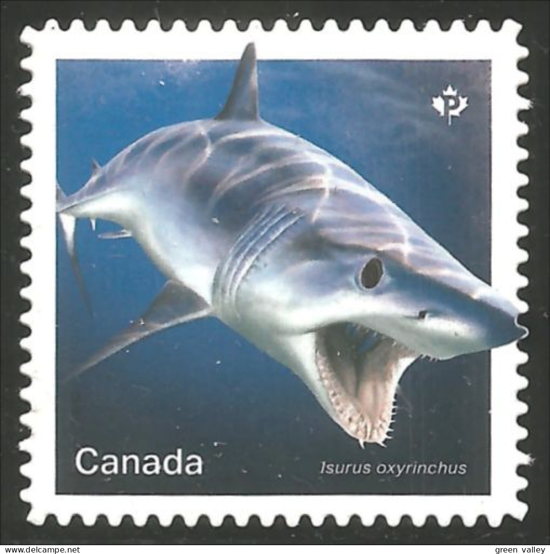 Canada 3110i Shark Requin Hai Squalo Tiburón Annual Collection Annuelle MNH ** Neuf SC (C31-10ia) - Unused Stamps