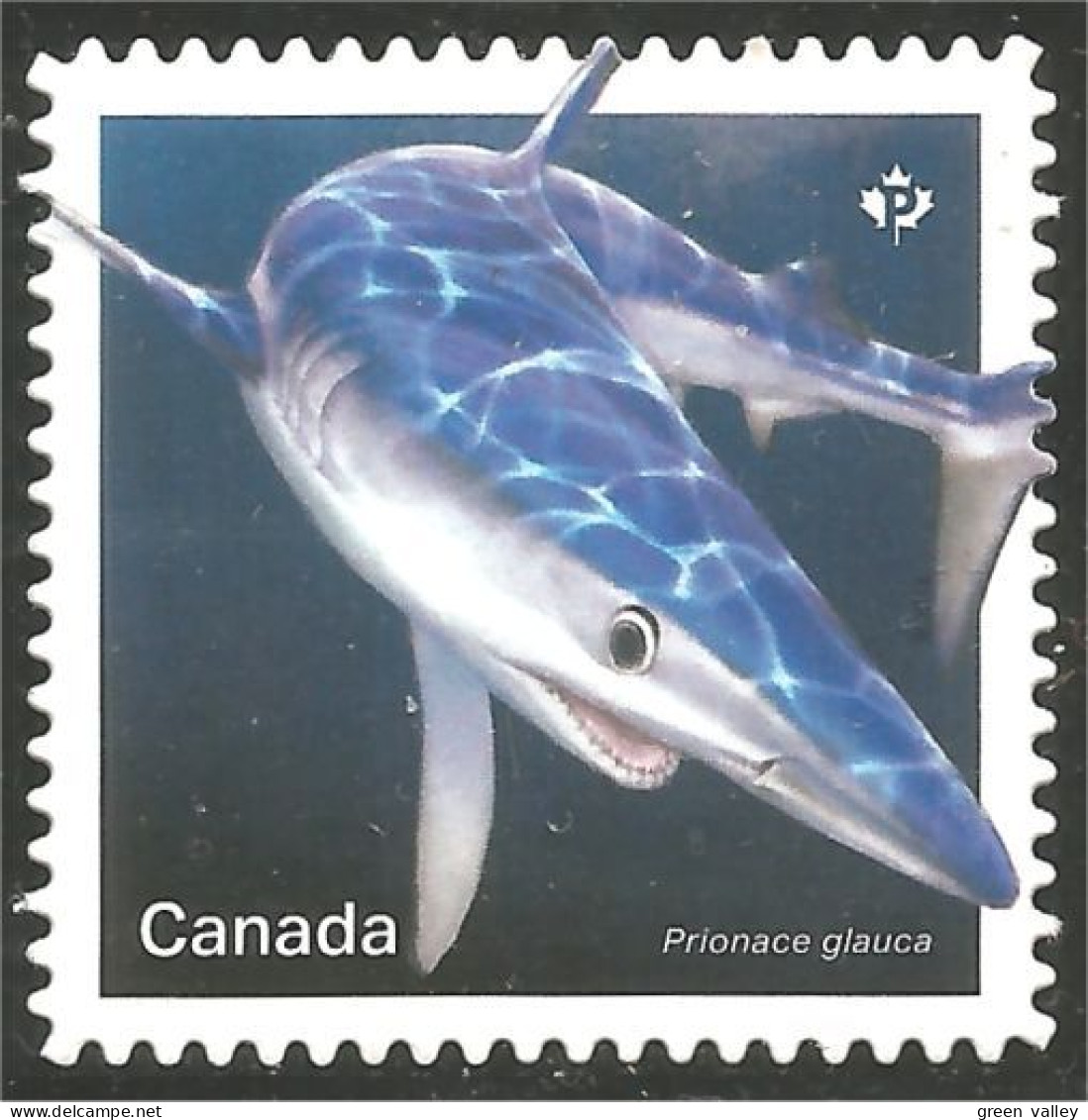 Canada 3109i Shark Requin Hai Squalo Tiburón Annual Collection Annuelle MNH ** Neuf SC (C31-09ia) - Unused Stamps