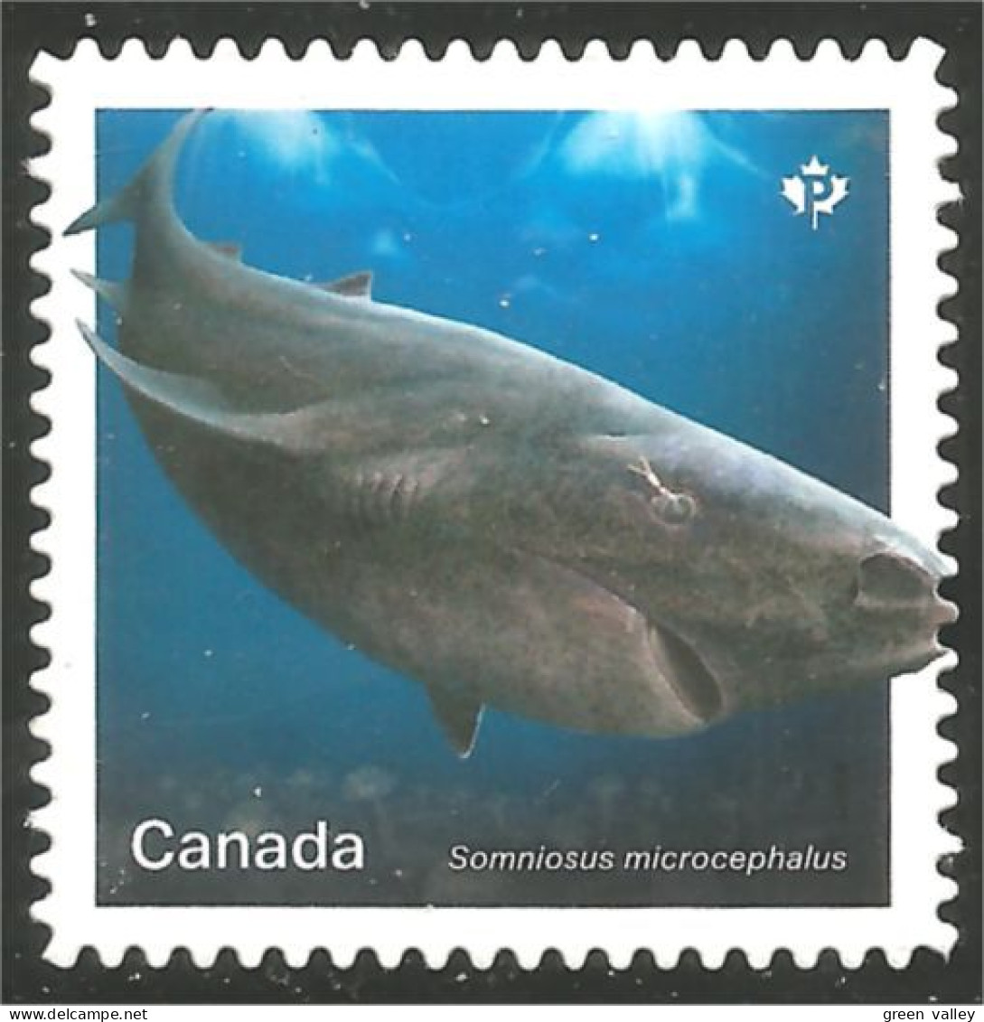 Canada 3108i Shark Requin Hai Squalo Tiburón Annual Collection Annuelle MNH ** Neuf SC (C31-08ia) - Neufs