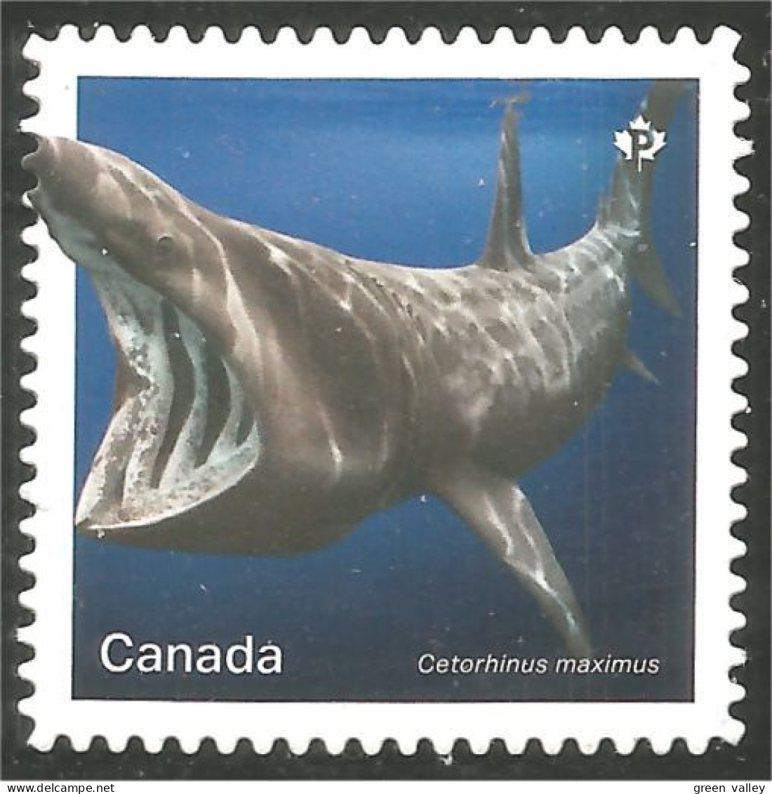 Canada 3107i Shark Requin Hai Squalo Tiburón Annual Collection Annuelle MNH ** Neuf SC (C31-07ia) - Ungebraucht