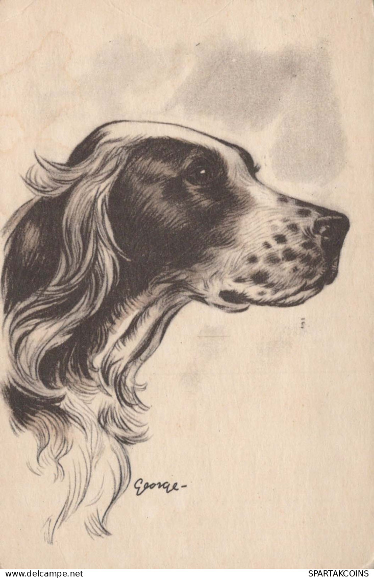 DOG Animals Vintage Postcard CPA #PKE776.GB - Chiens