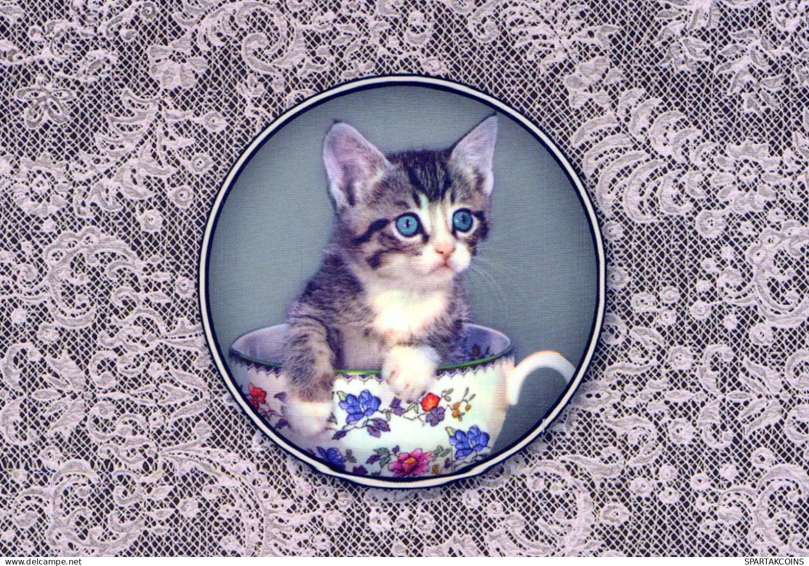 CAT KITTY Animals Vintage Postcard CPSM #PBQ749.GB - Chats