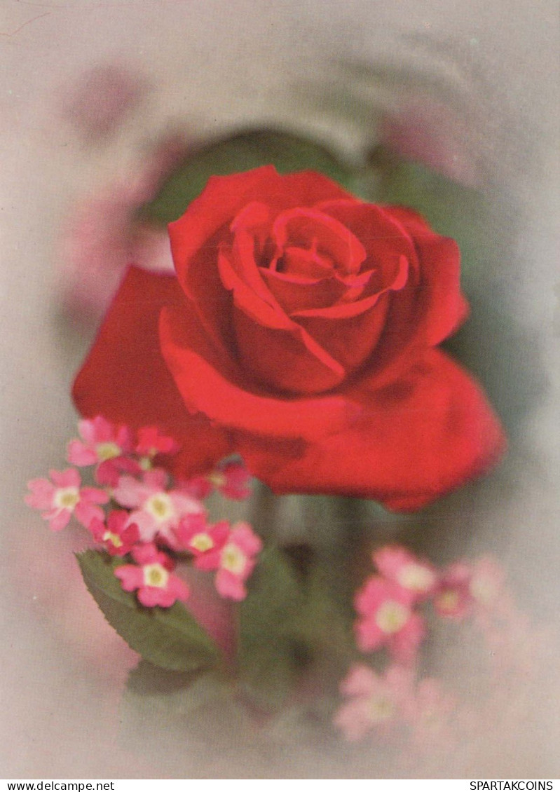 FLOWERS Vintage Postcard CPSM #PAS308.GB - Flowers