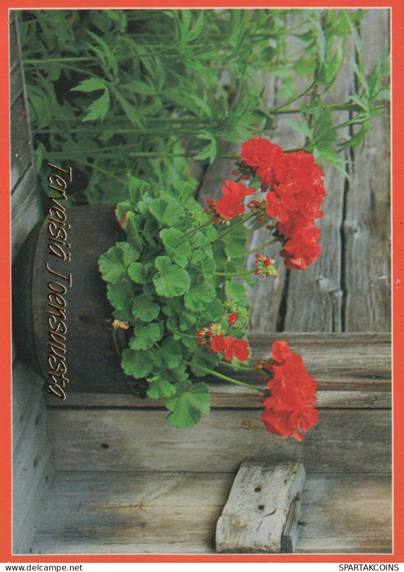 FLOWERS Vintage Postcard CPSM #PAR347.GB - Flores
