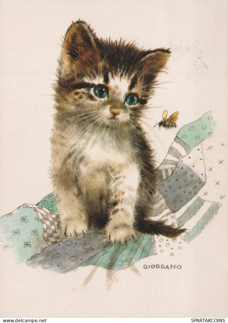 CAT KITTY Animals Vintage Postcard CPSM #PAM583.GB - Chats