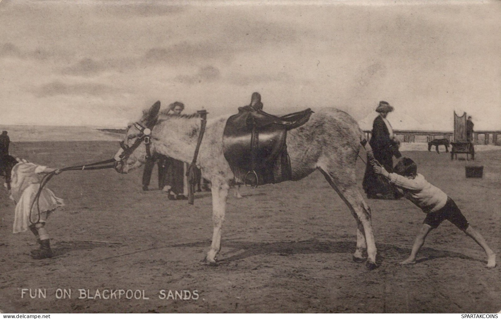 ÂNE Animaux Vintage Antique CPA Carte Postale #PAA114.FR - Esel