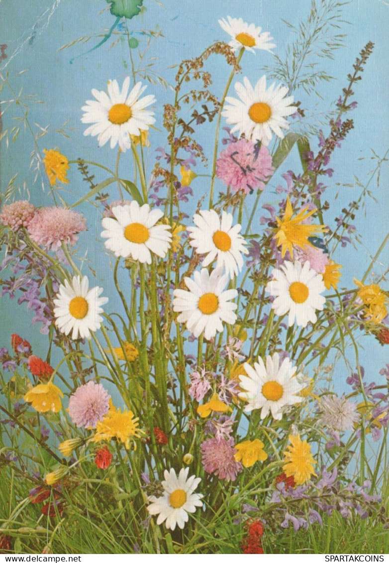 FIORI Vintage Cartolina CPSM #PBZ781.IT - Flowers