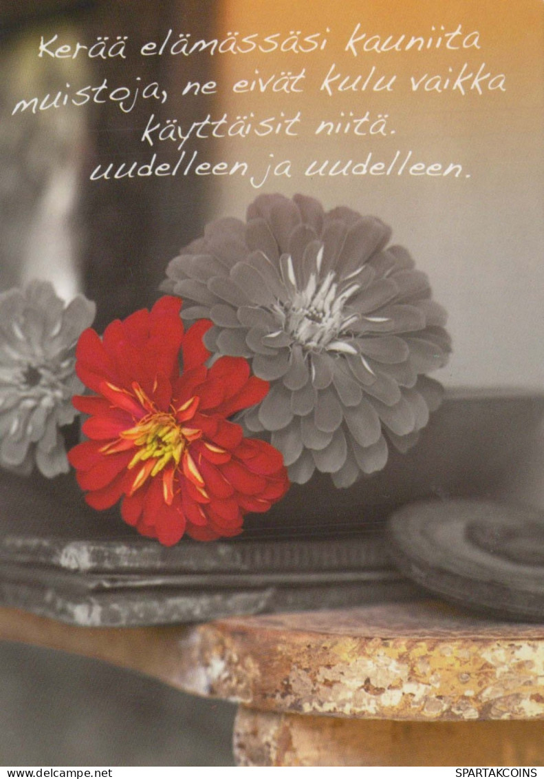 FIORI Vintage Cartolina CPSM #PBZ903.IT - Flowers