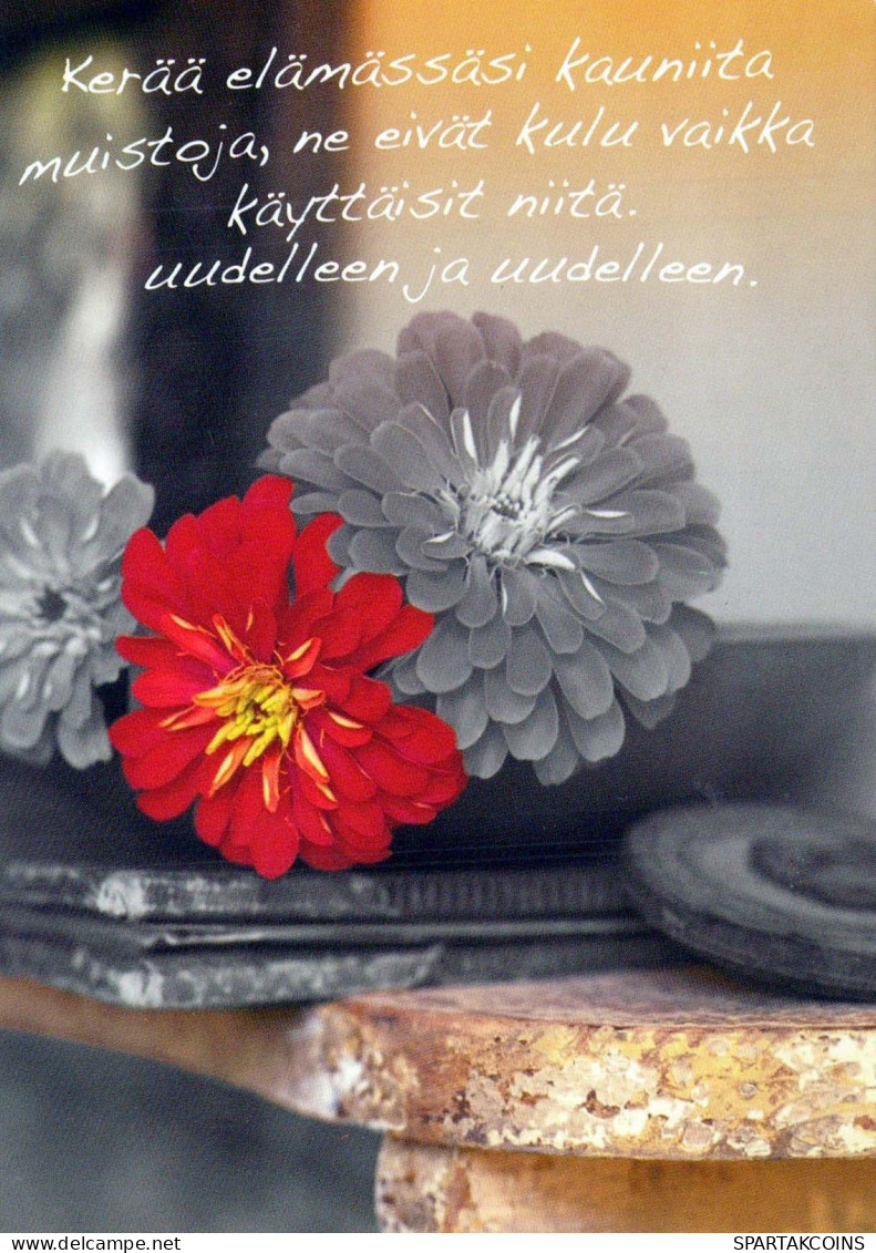 FIORI Vintage Cartolina CPSM #PBZ903.IT - Flowers