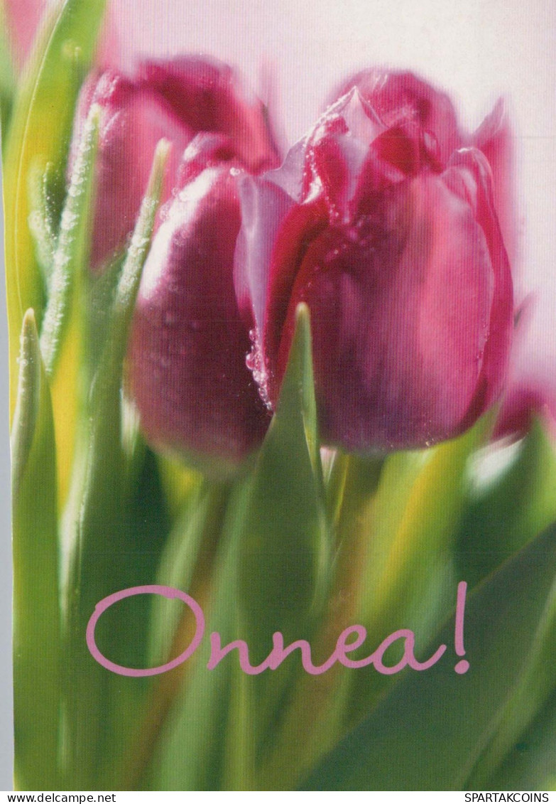 FIORI Vintage Cartolina CPSM #PBZ599.IT - Flowers