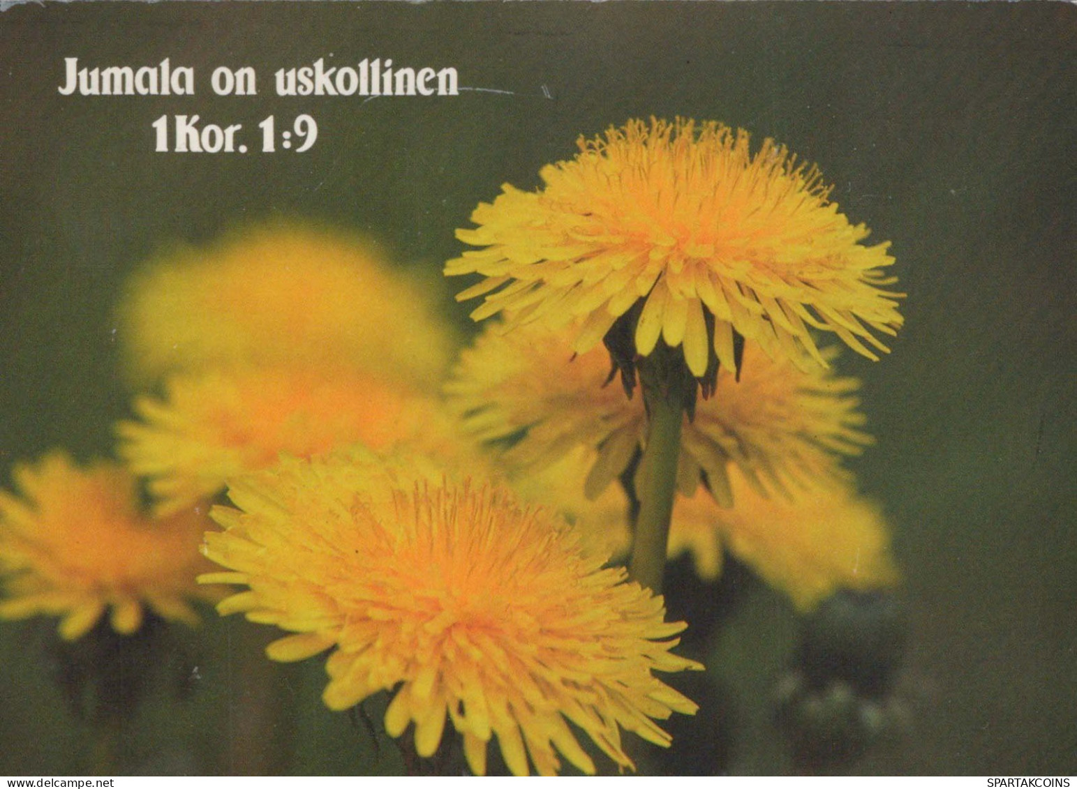 FIORI Vintage Cartolina CPSM #PBZ479.IT - Flowers