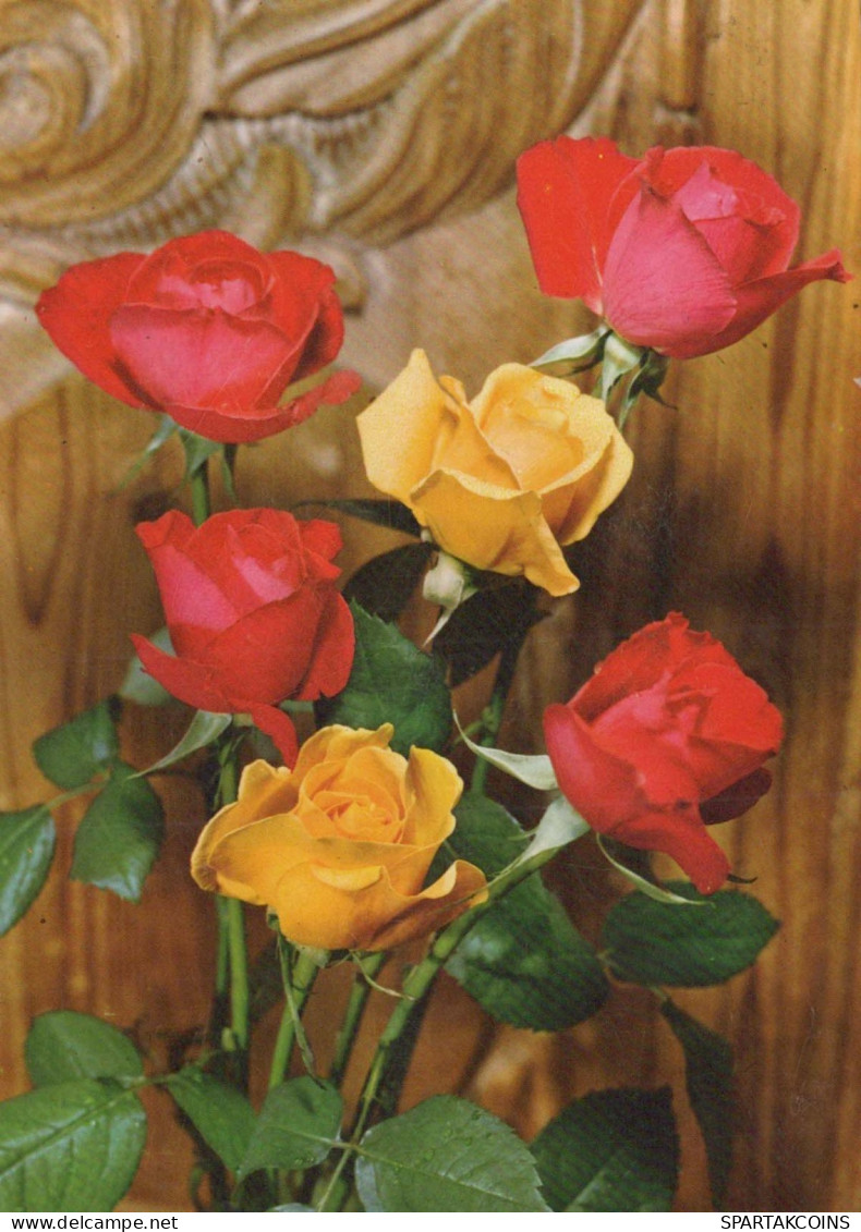FIORI Vintage Cartolina CPSM #PAS676.IT - Flowers