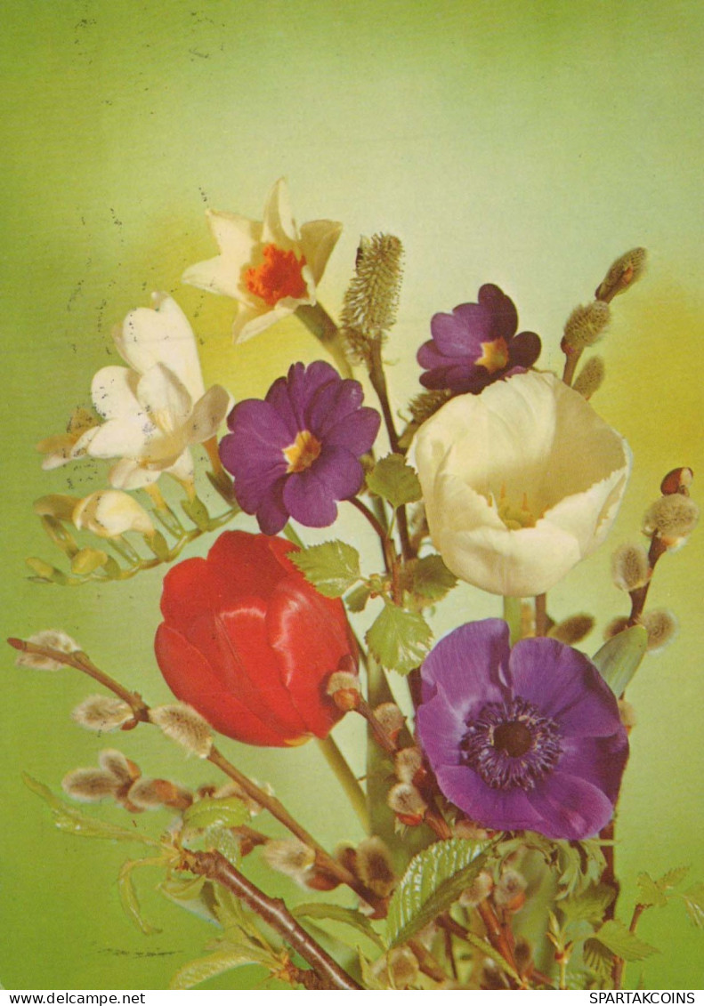 FIORI Vintage Cartolina CPSM #PAR109.IT - Fleurs