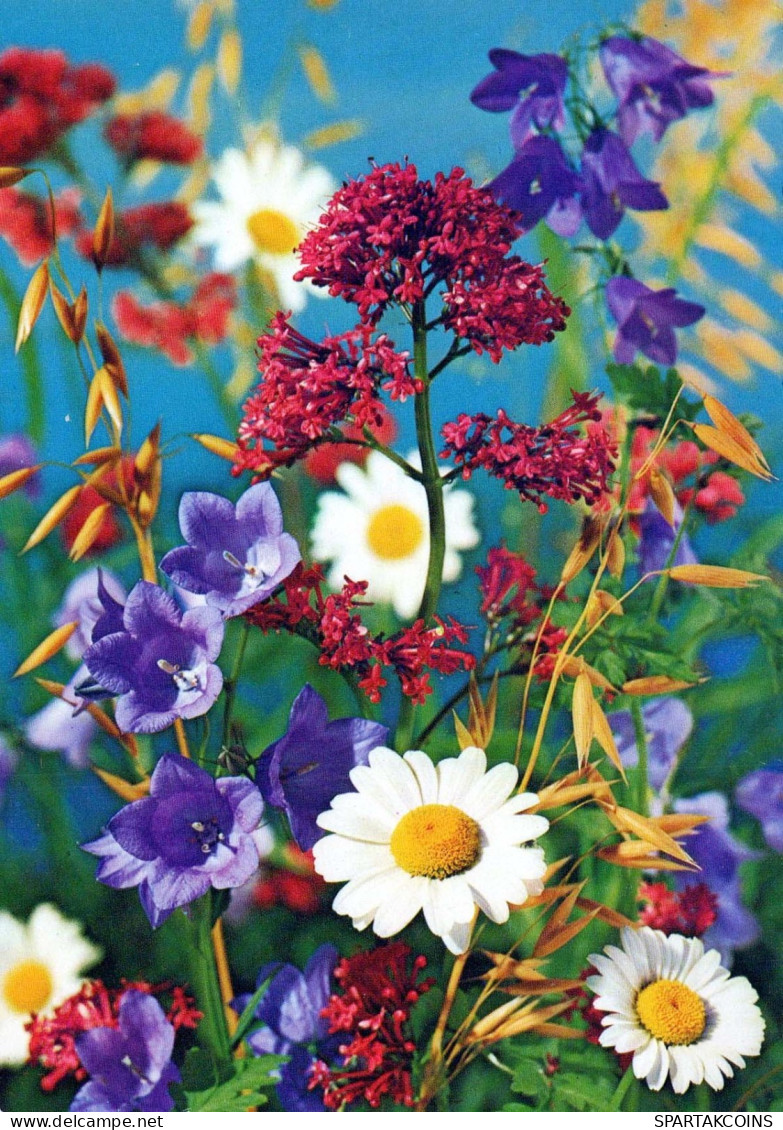 FIORI Vintage Cartolina CPSM #PAR230.IT - Flowers