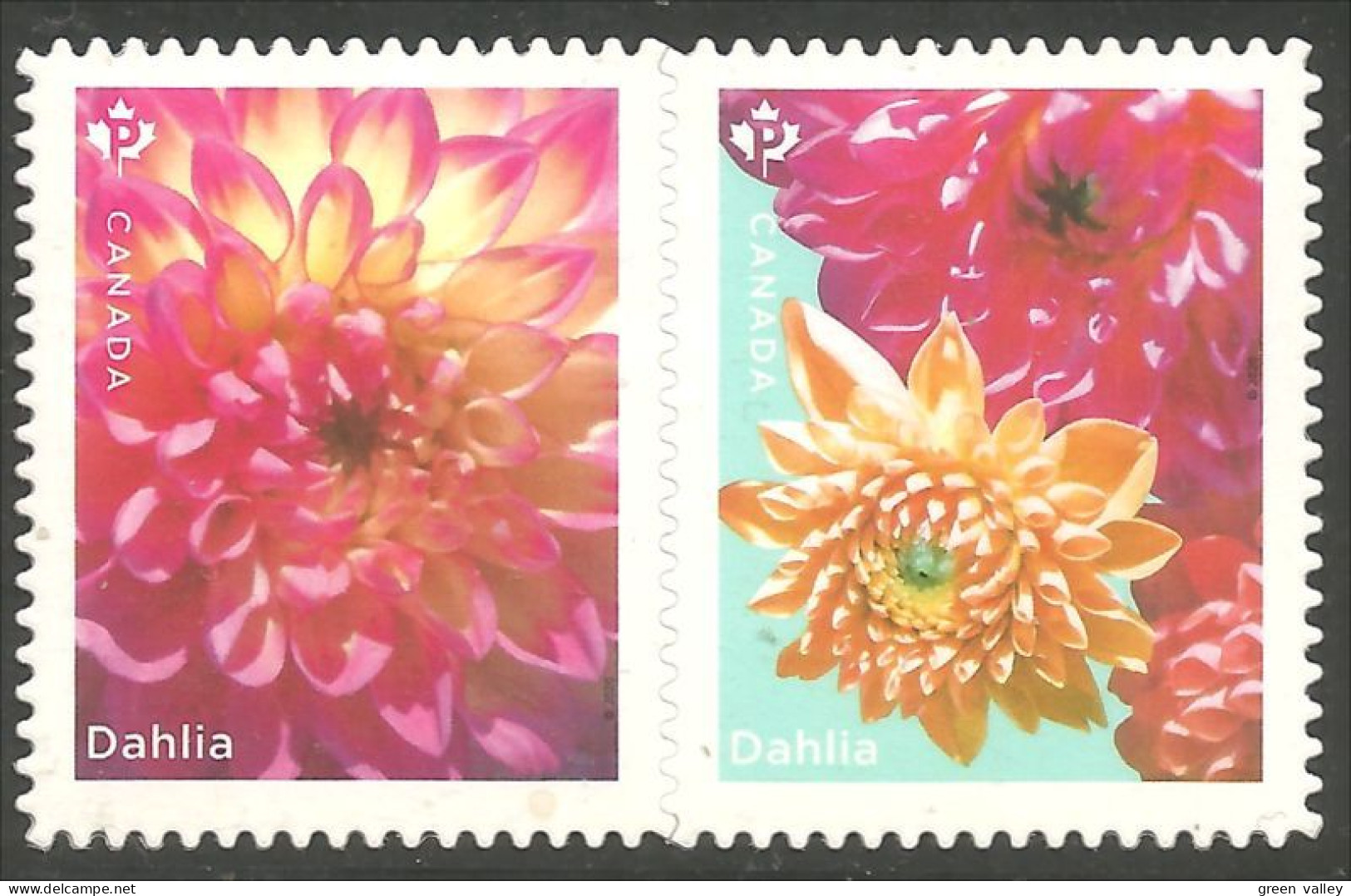 Canada Paire Dahlias Pair Annual Collection Annuelle MNH ** Neuf SC (C32-38a) - Unused Stamps