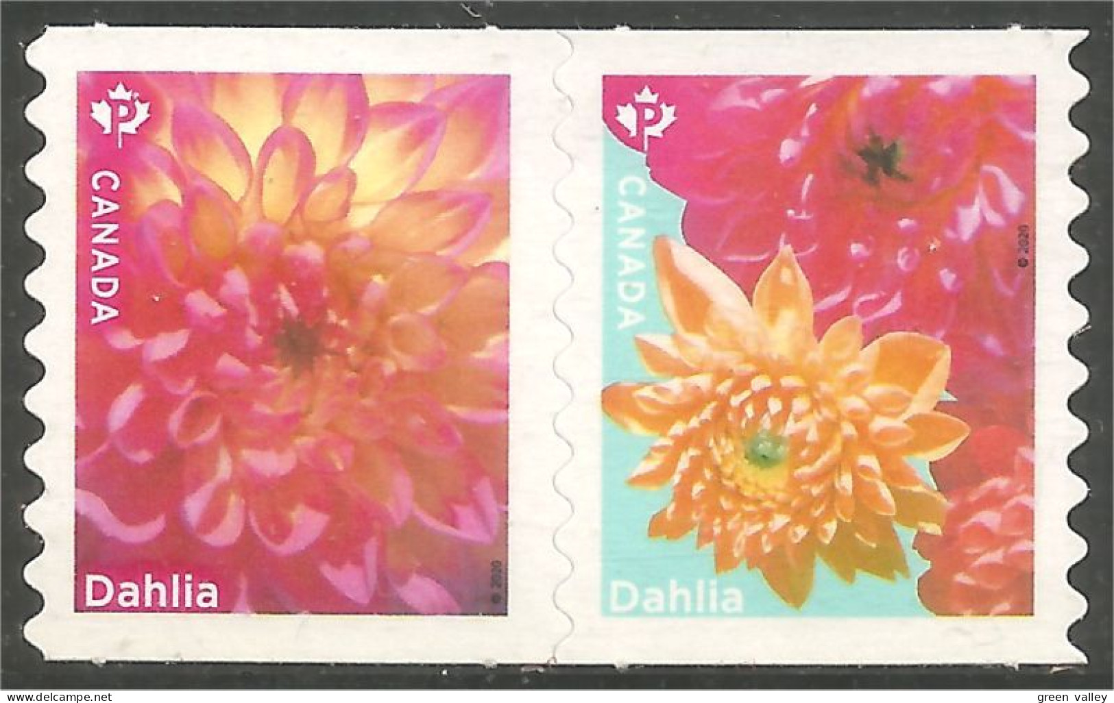 Canada Paire Dahlias Coil Roulette Pair Annual Collection Annuelle MNH ** Neuf SC (C32-36aa) - Ungebraucht