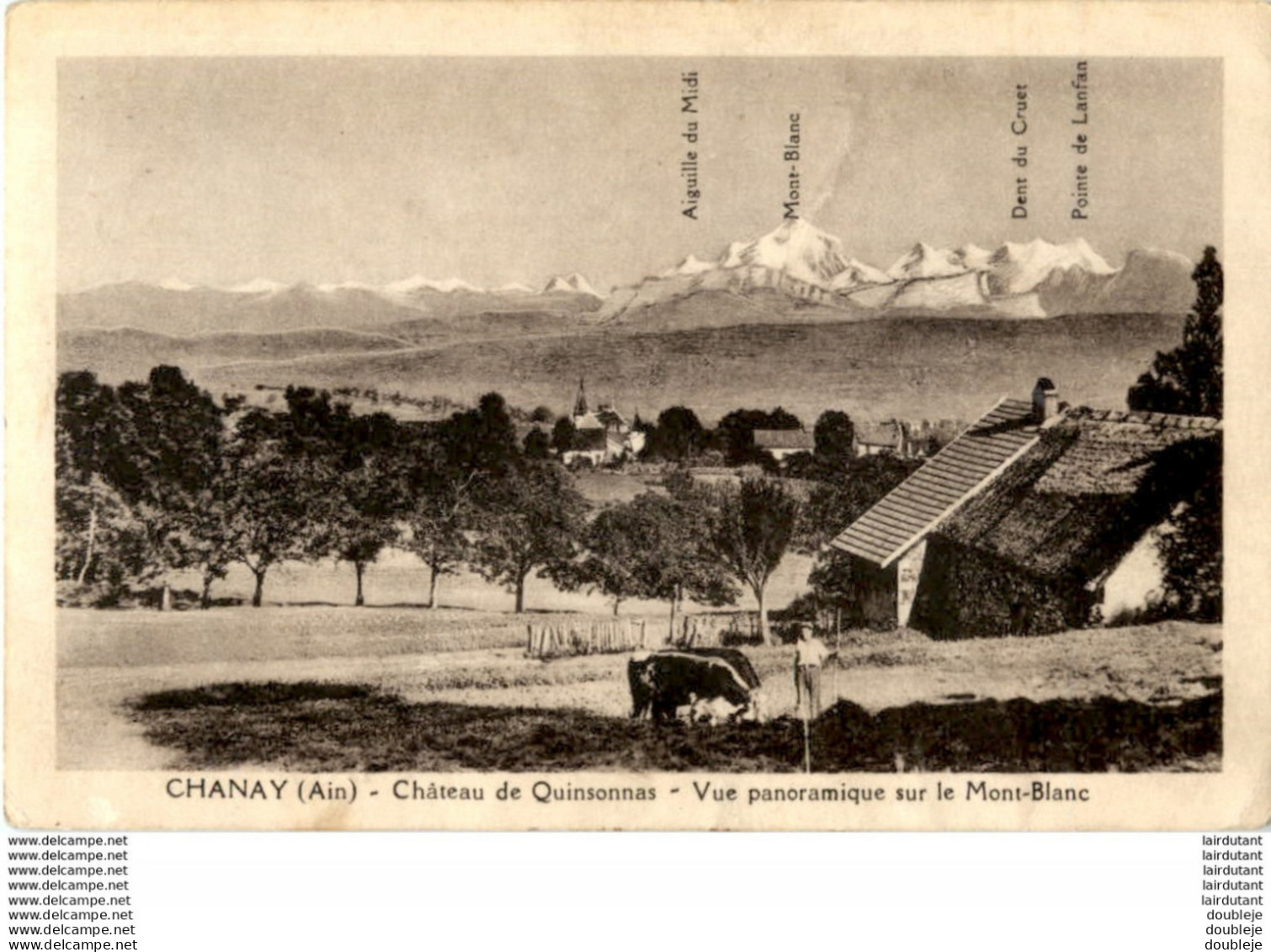 D01  CHANAY  Château De Quinsonnas- Vue Panoramique Sur Le Mont- Blanc  ..... - Non Classés