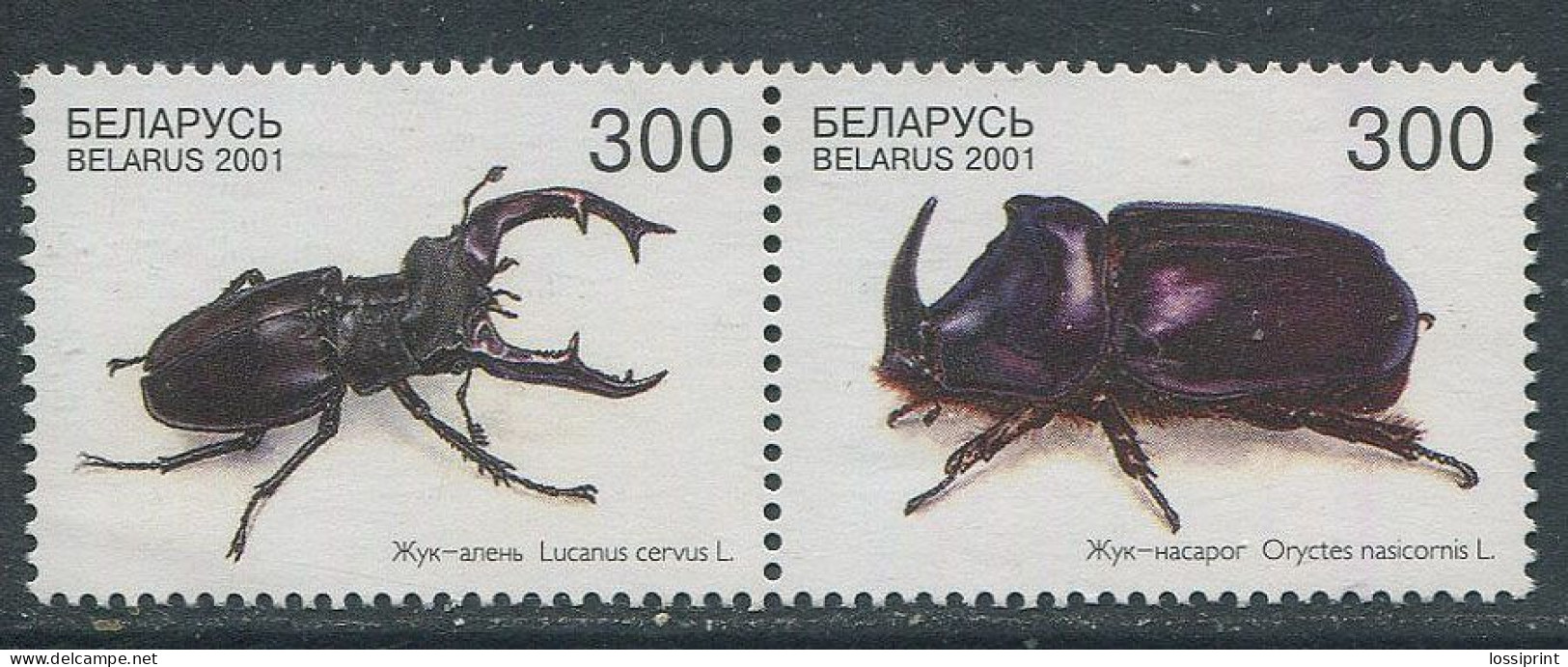 Belarus:Unused Stamps Pair Insects, Bugs, Beetles, 2001, MNH - Bielorrusia