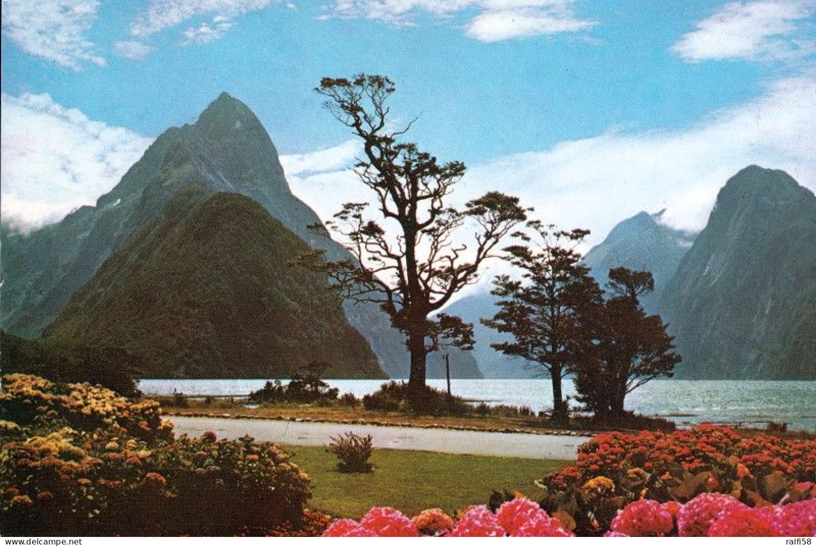 2 AK New Zealand * Milford Sound Und Mitre Peak Im Nationalpark Te Wahipounamu * Seit 1990 Weltnaturerbe Der UNESCO * - Nouvelle-Zélande