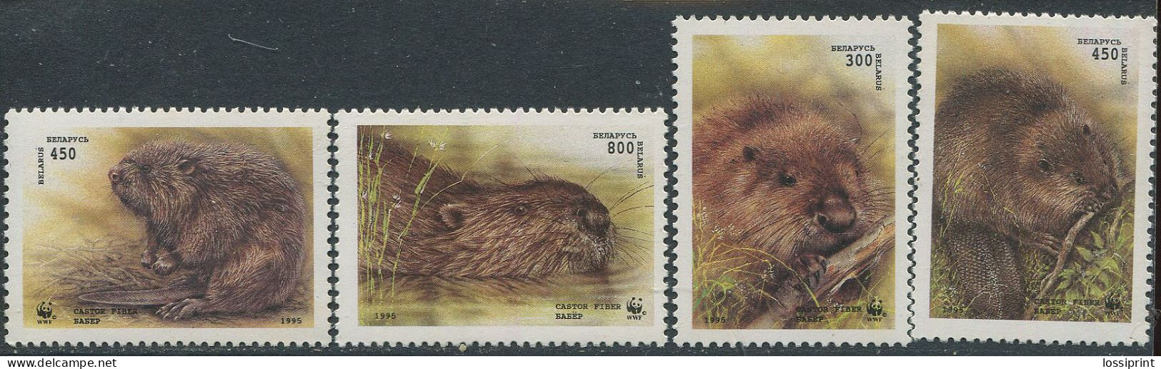 Belarus:Unused Stamps Serie WWF, Rodent, Castor Fiber, 1995, MNH - Belarus