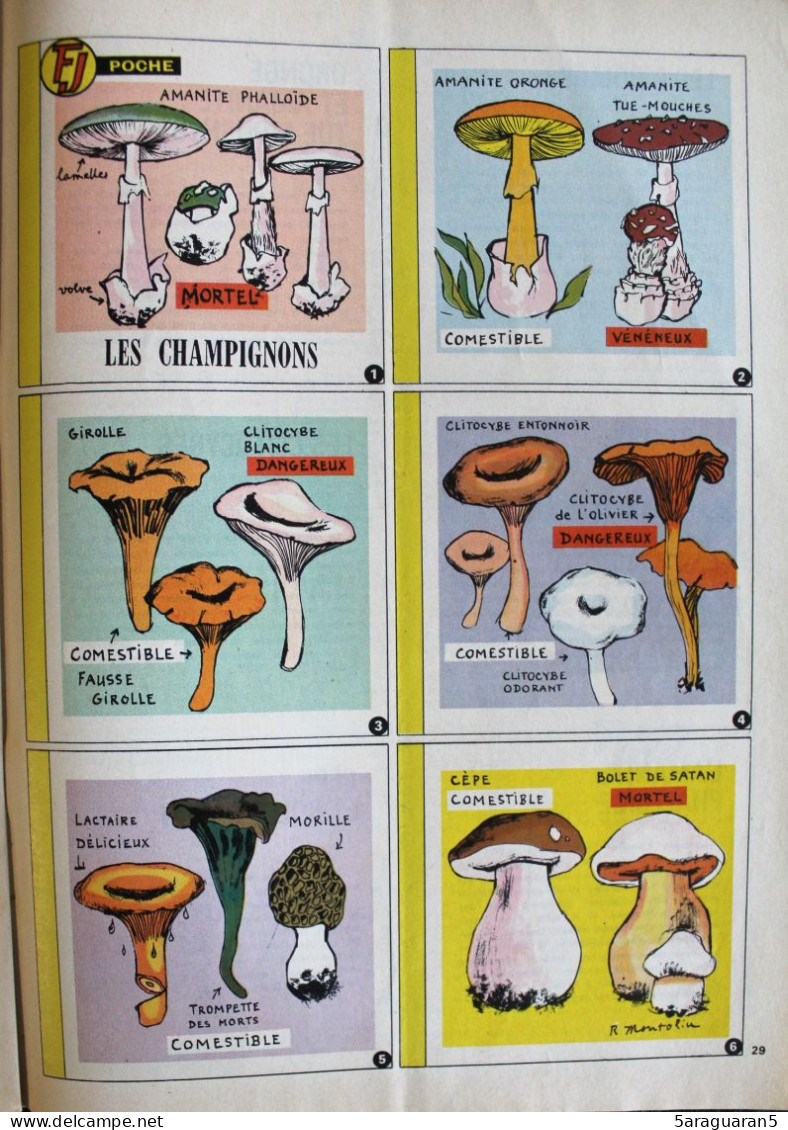 MAGAZINE FRANCS JEUX - 478 - Septembre 1966 Avec Fiches Sur Les Champignons - Andere Tijdschriften