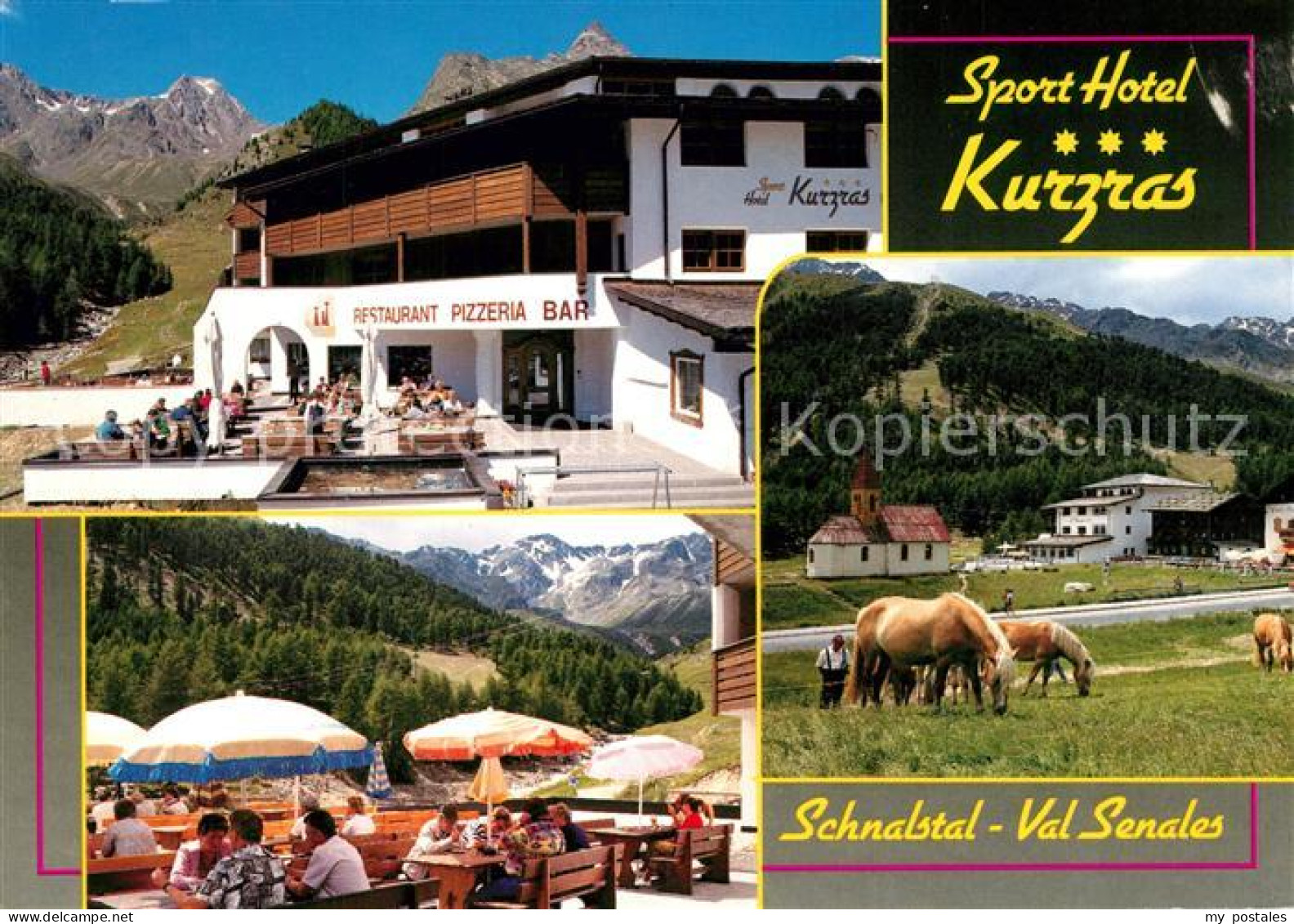 73219966 Kurzras Schnals Sporthotel Schnalstal Haflinger Pferde Kurzras Schnals - Other & Unclassified