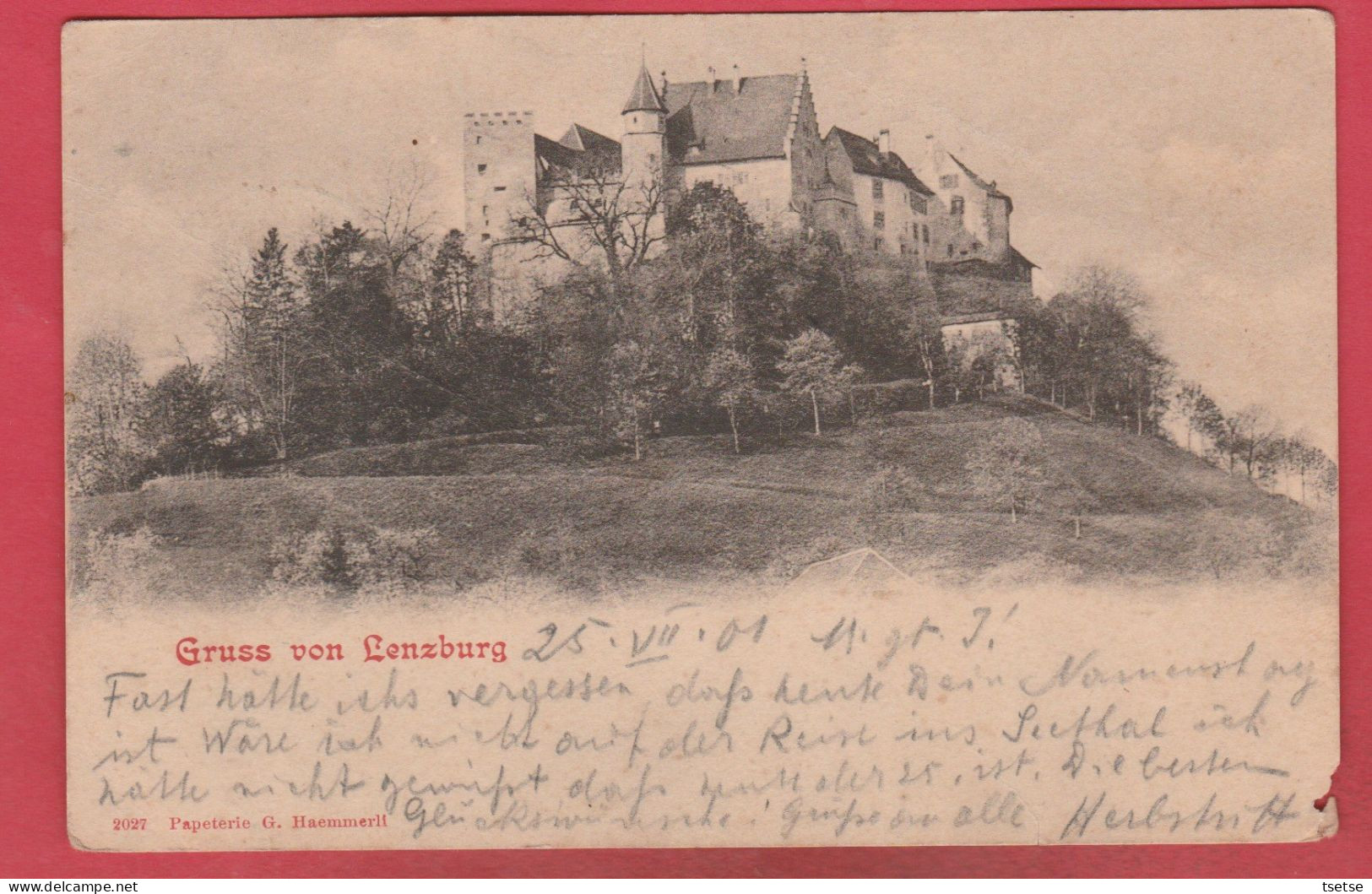 Gruss Von Lenzburg - 1901  ( Voir Verso ) - Lenzburg