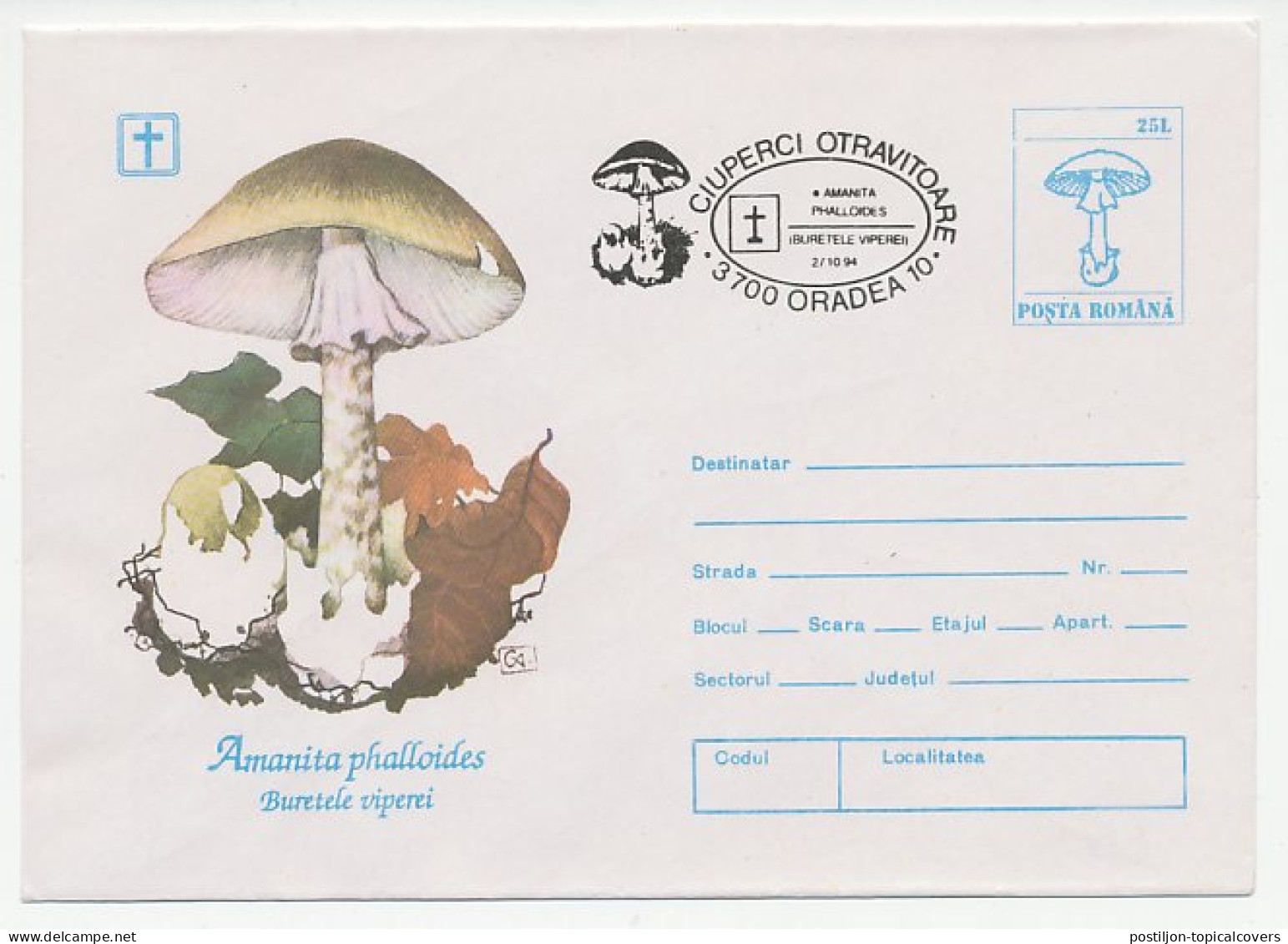 Postal Stationery Romania 1994 Mushroom - Funghi