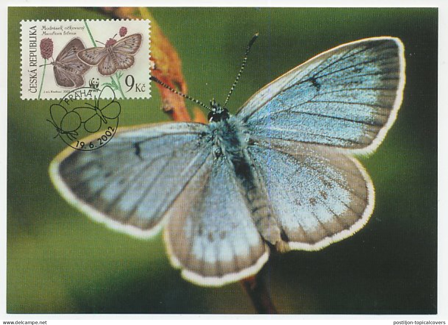 Maximum Card Czech Republic 2002 Butterfly - WWF - Autres & Non Classés