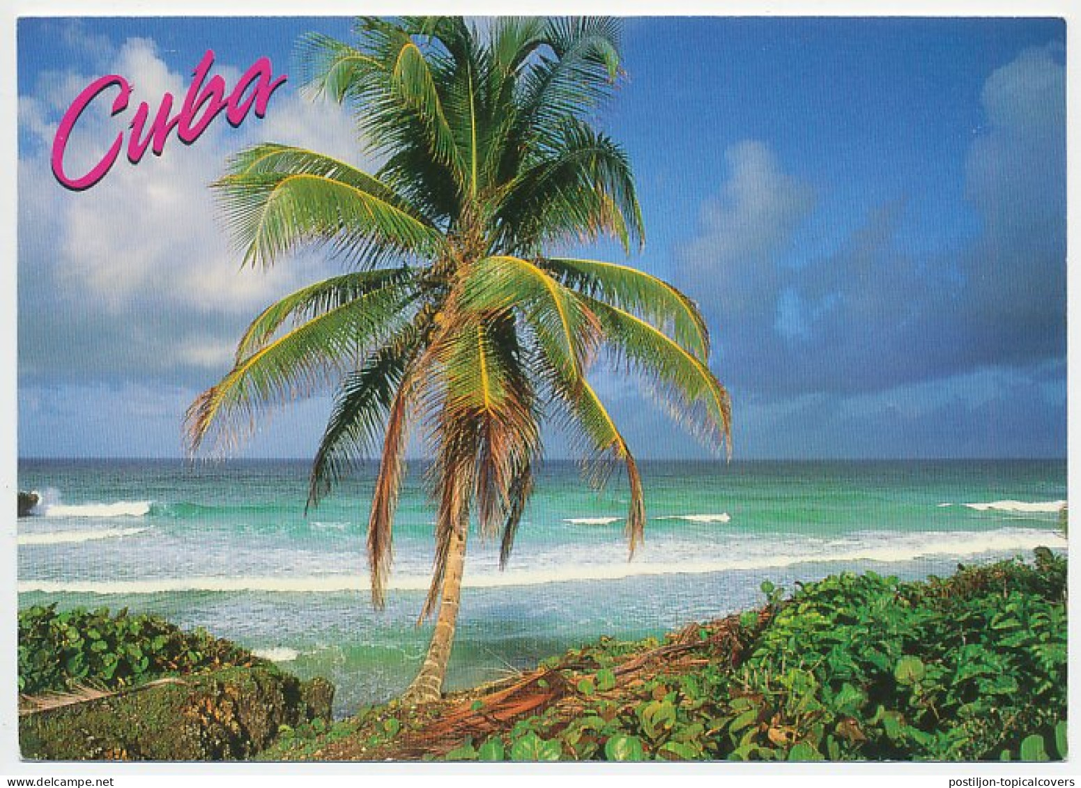 Postal Stationery Cuba Palm Tree - Trees