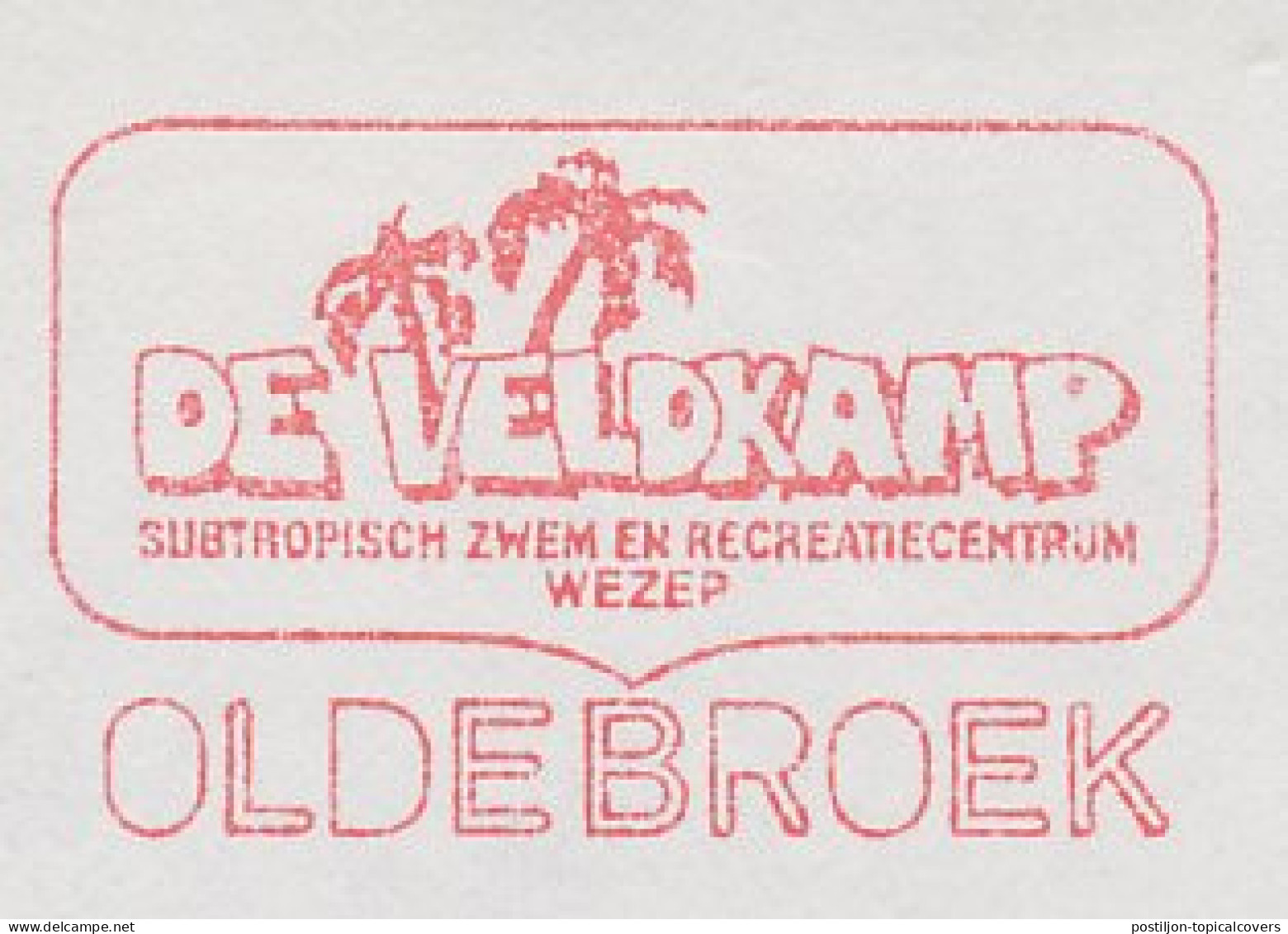 Meter Cut Netherlands 1989 Palm Tree - Alberi