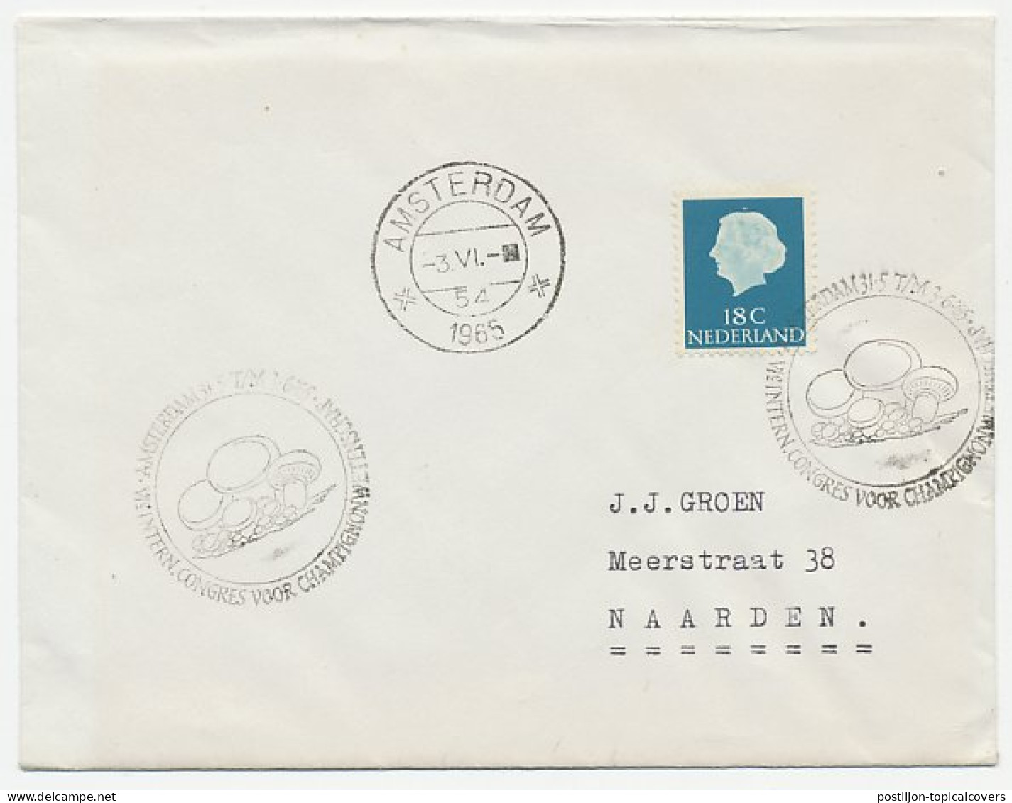 Cover / Postmark Netherlands 1965 Mushroom Congress - Champignons