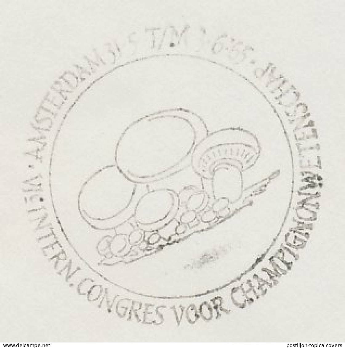 Cover / Postmark Netherlands 1965 Mushroom Congress - Funghi