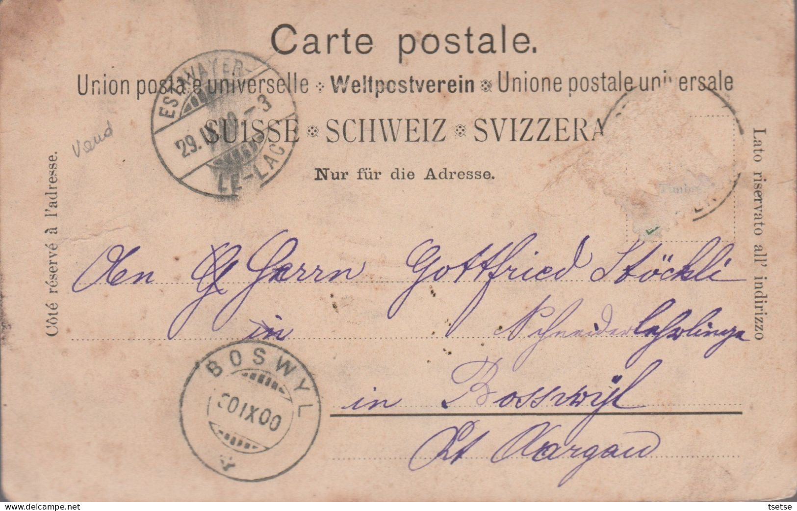 Souvenir De Payerne - Grande Rue - 1900  ( Voir Verso ) - Payerne