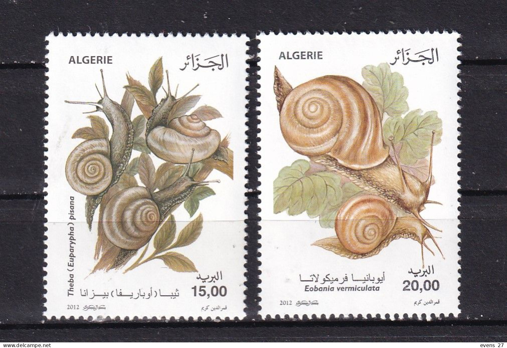ALGERIA-2012-SNAILS-MNH. - Algérie (1962-...)