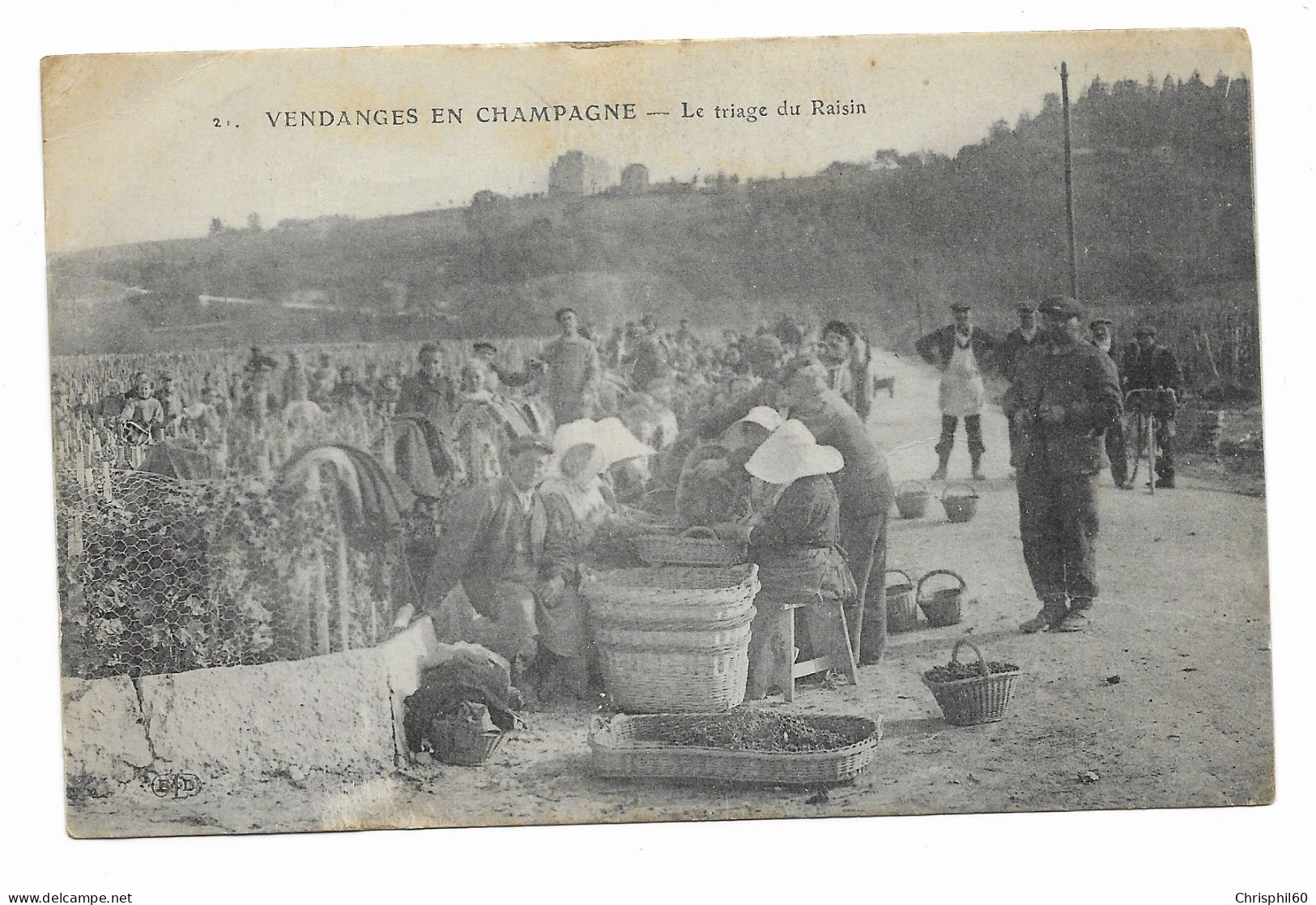 CPA écrite En 1917 - Vendanges En Champagne - Le Triage Du Raisin - Belle Animation - - Altri & Non Classificati