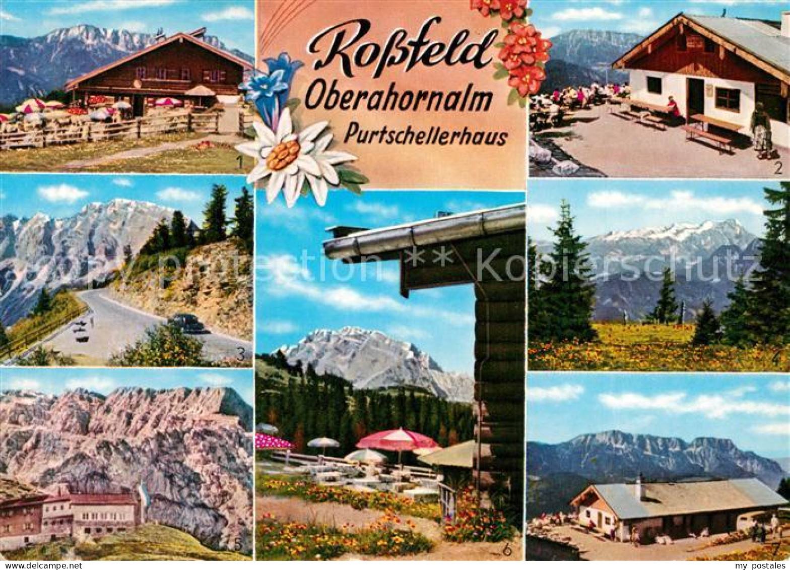 73219197 Rossfeldhuette Oberahornalm Hohe Goell Dachsteingebirge Purtschellerhau - Berchtesgaden