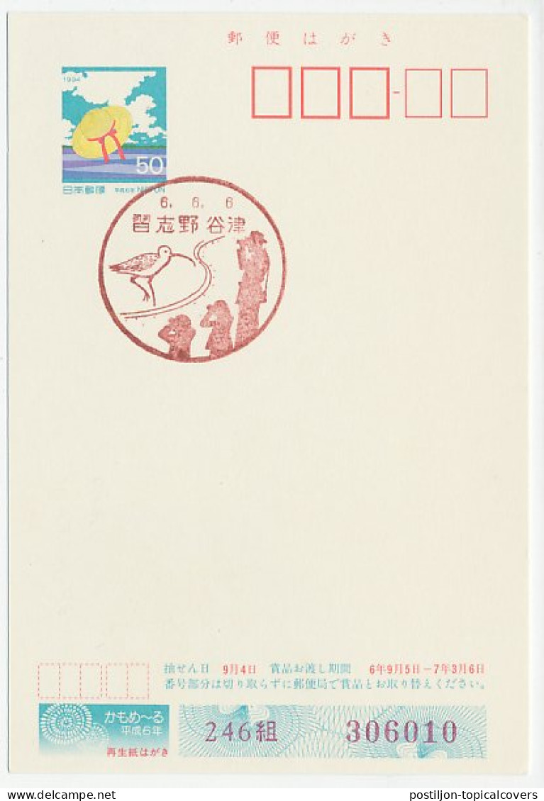 Postal Stationery / Postmark Japan 1994 Bird - Ornithologist - Frog - Otros & Sin Clasificación