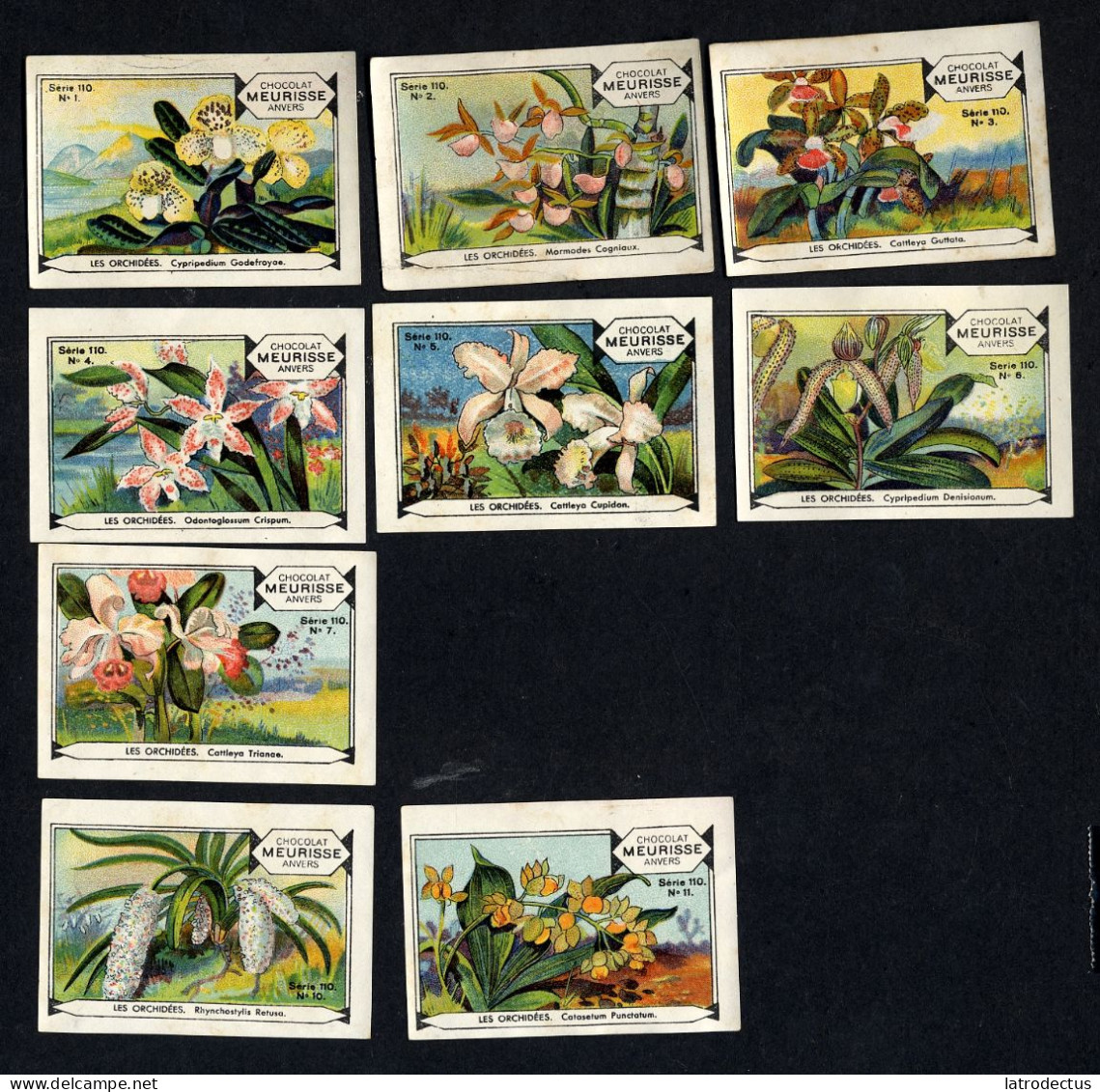 Meurisse - Ca 1930 - 110 - Les Orchidées, Orchids - Serie (3 Missing) - Altri & Non Classificati