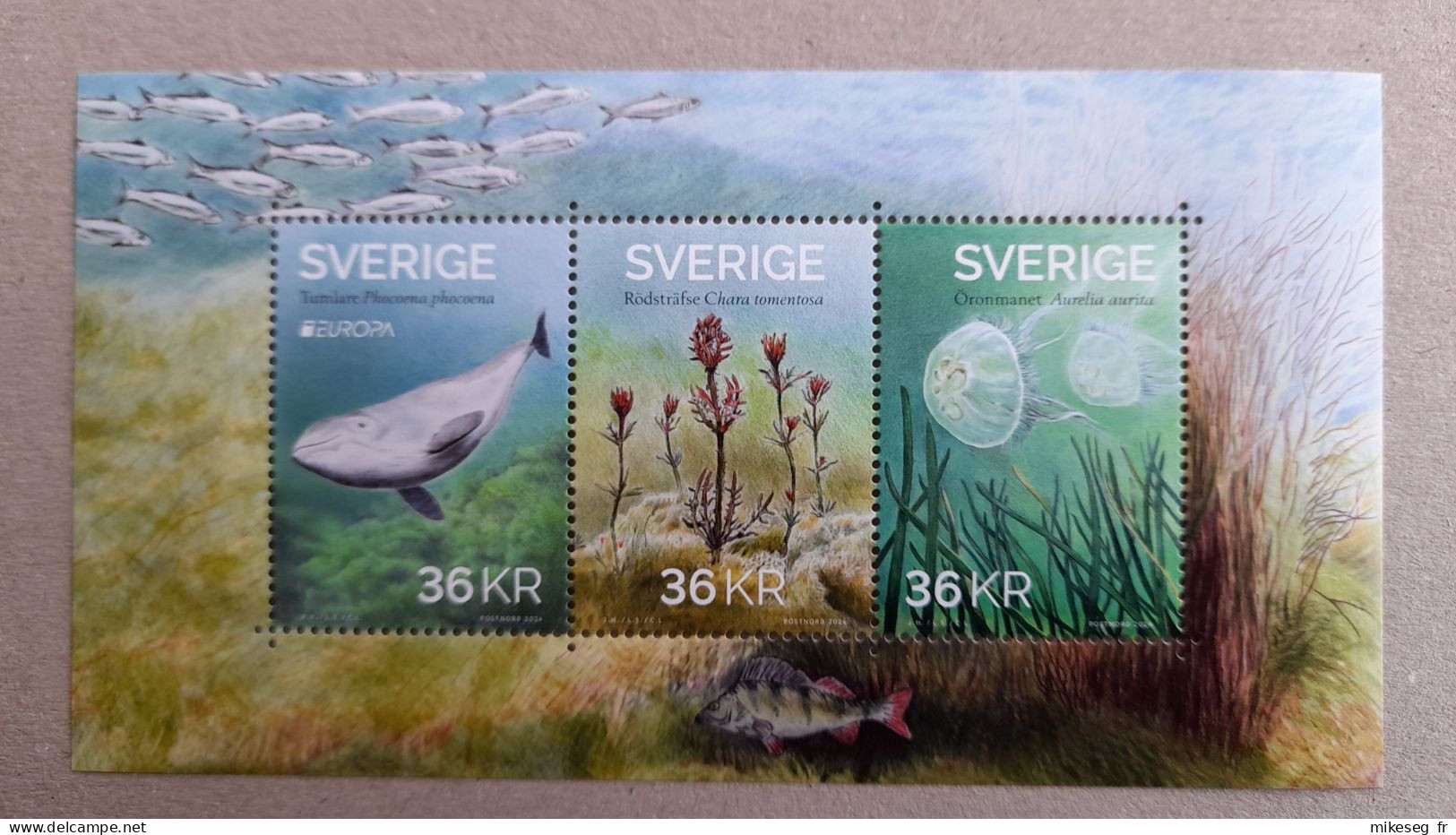 Europa 2024 - Suède Sweden Schweden - Faune Et Flore Sous-marine - Feuillet Neuf ** MNH (voir Description) - 2024