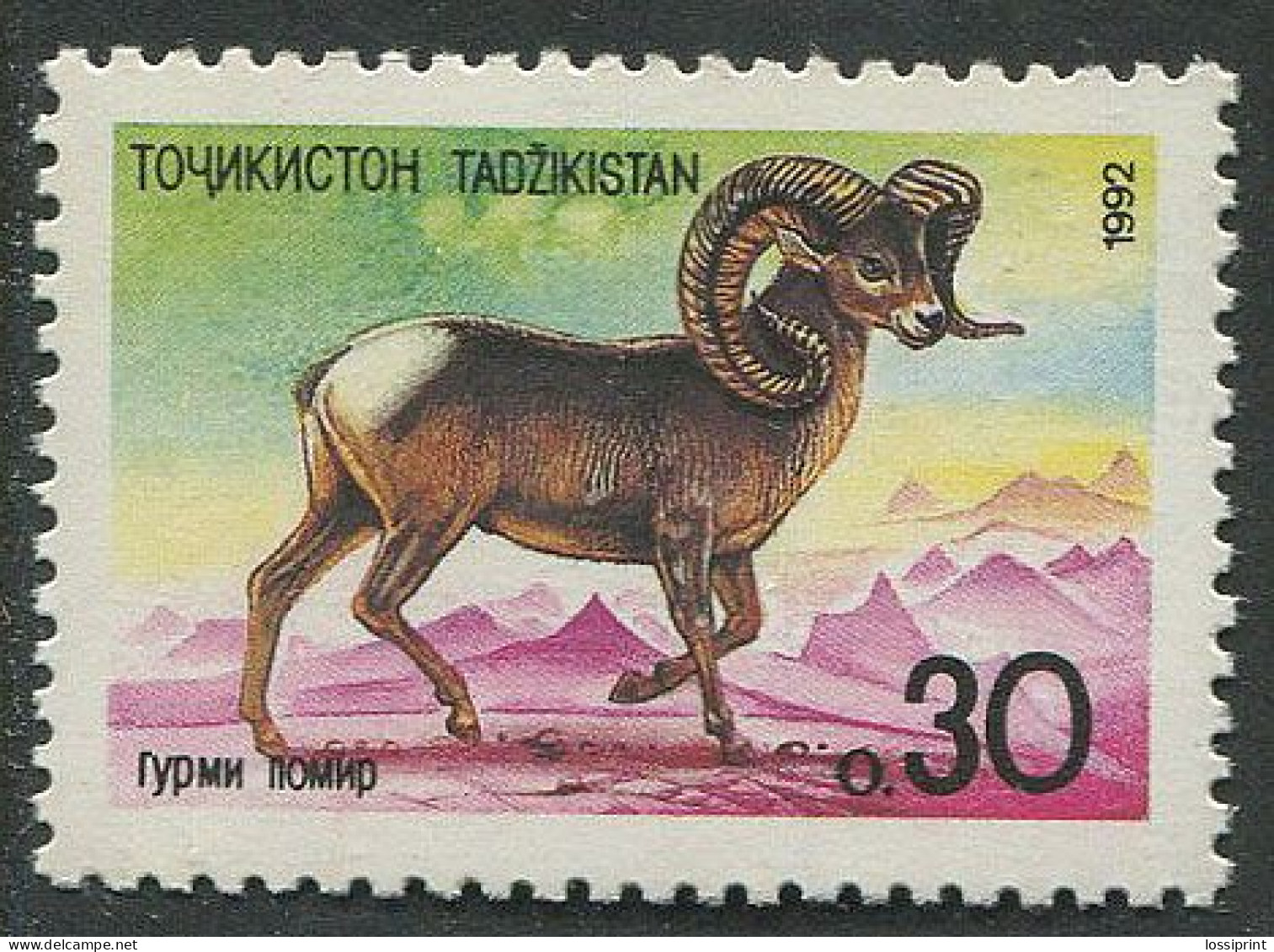 Tajikistan:Unused Stamp Animal, Goat, 1992, MNH - Tadschikistan