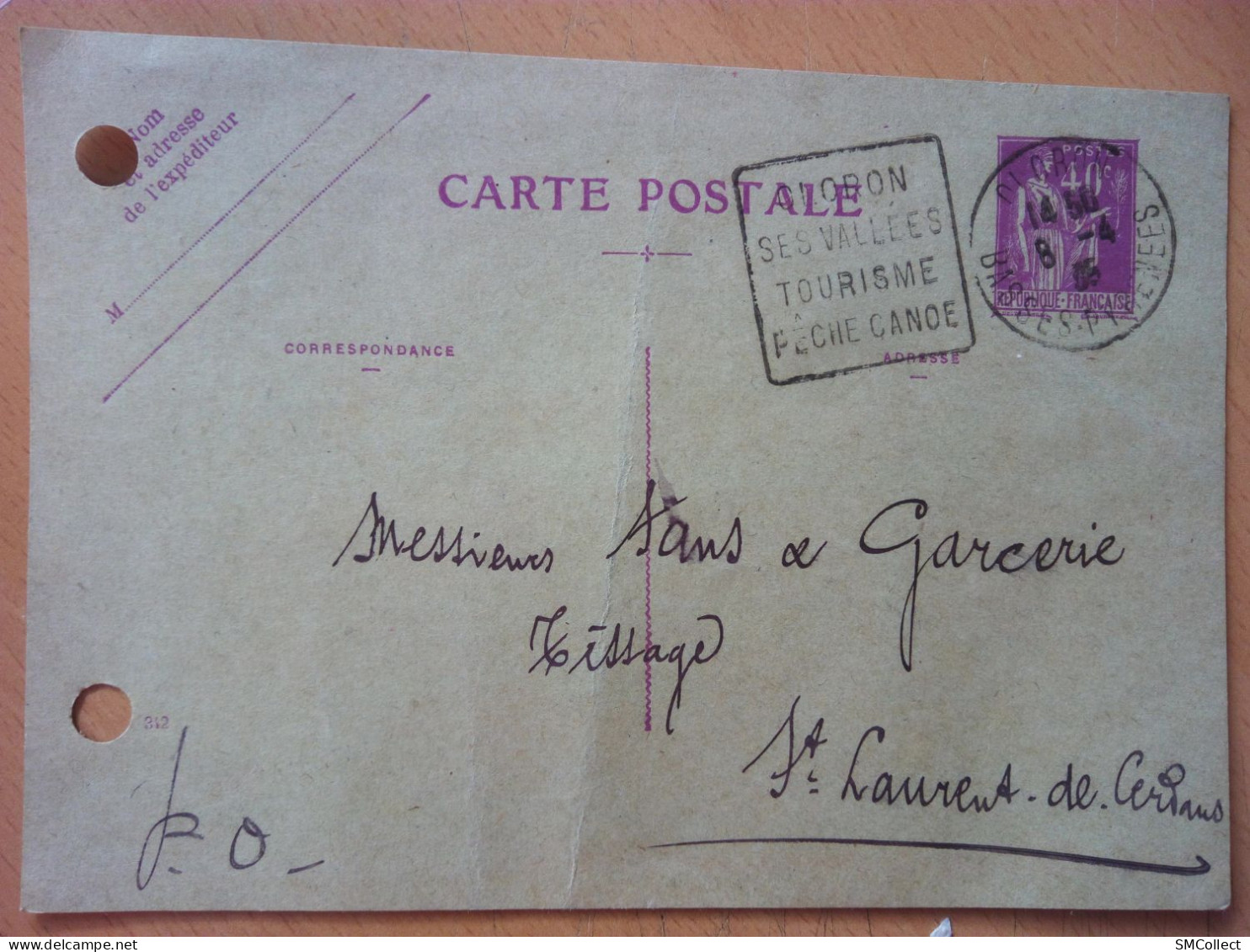 Oloron. Cachet Publicitaire Daguin "ses Vallées, Tourisme, Pêche, Canoë" (GF4063) - Mechanical Postmarks (Other)