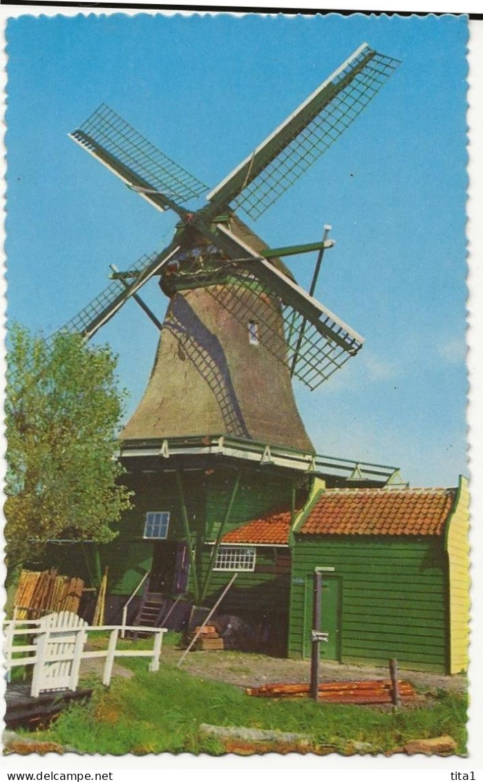 42 - Monnikendam - Moulin à Vent - Andere & Zonder Classificatie