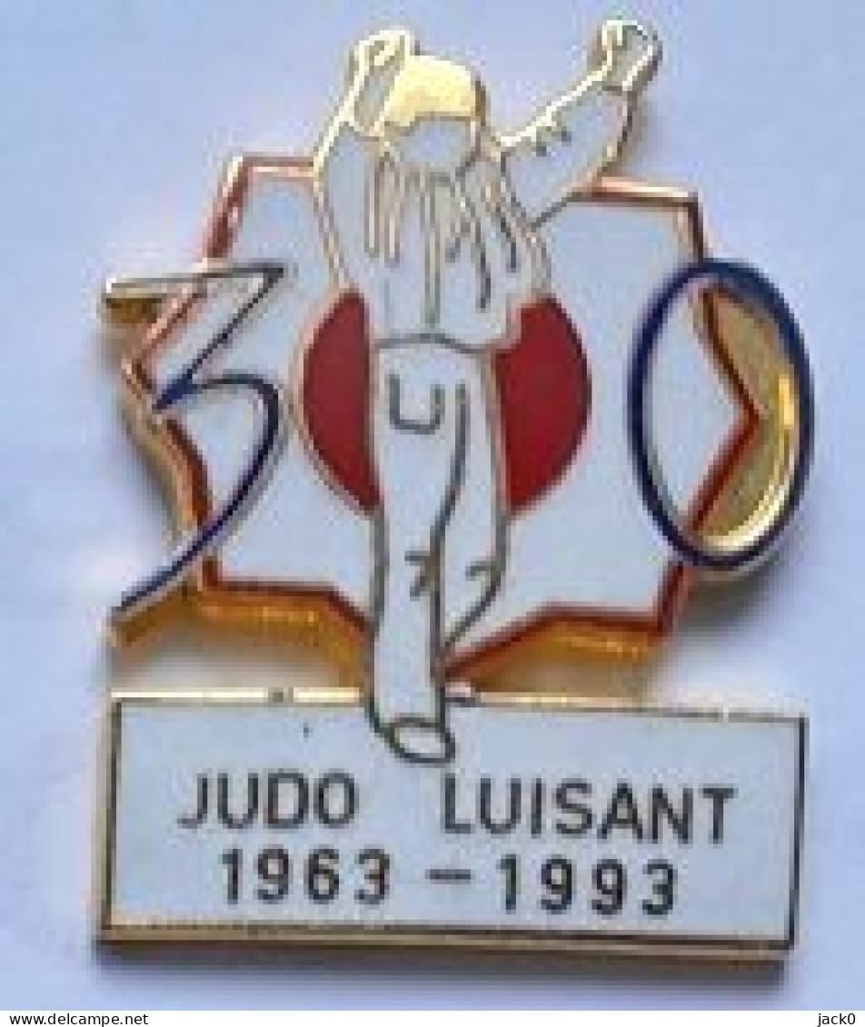 Pin' S  Ville, Sport  30  Ans  Du  Club  De  JUDO  LUISANT  1963 - 1993  ( 28 ) - Judo