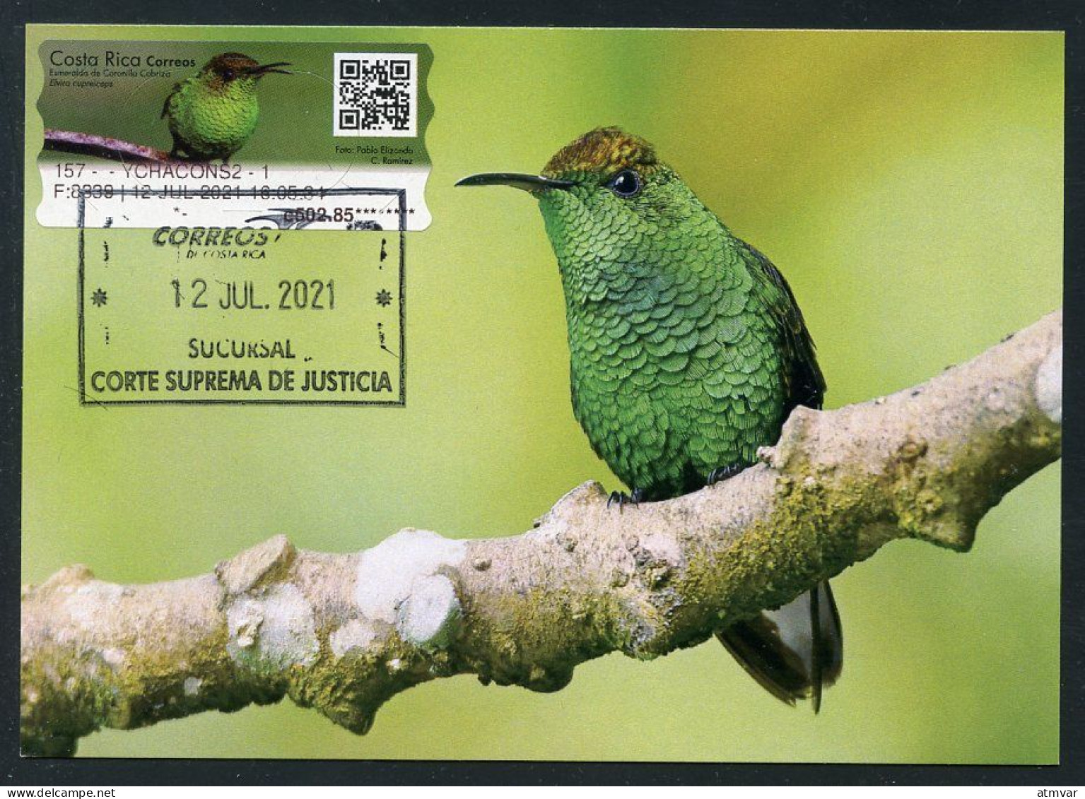 COSTA RICA (2021) Carte Maximum Card ATM - Esmeralda De Coronilla Cobriza (Elvira Cupreiceps) - Coppery-headed Emerald - Costa Rica