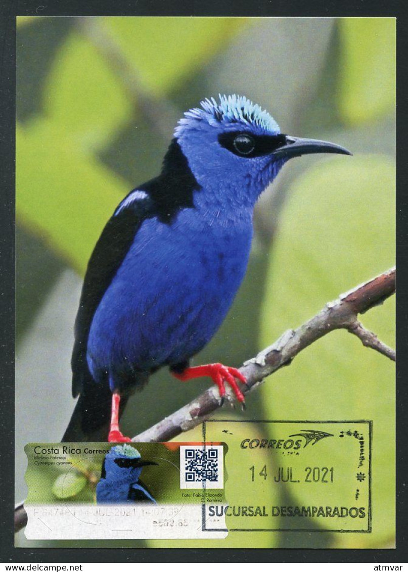 COSTA RICA (2021) Carte Maximum Card ATM - Mielero Patirrojo (Cyanerpes Cyaneus) - Red-legged Honeycreeper, Colibrí - Costa Rica