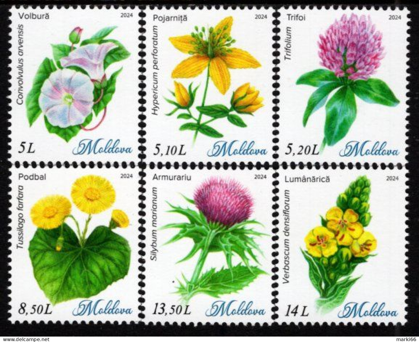 Moldova - 2024 - Wild Flowers - Mint Definitive Stamp Set - Moldavie