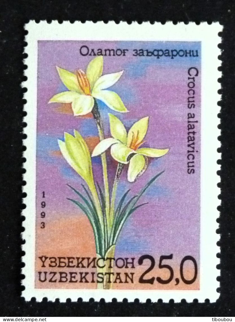 OUZBEKISTAN UZBEKISTAN YT 32 ** MNH - FLORE FLEUR FLOWER BLUME - Uzbekistan
