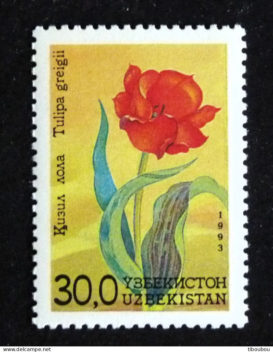 OUZBEKISTAN UZBEKISTAN YT 34 ** MNH - FLORE FLEUR FLOWER BLUME - Uzbekistan