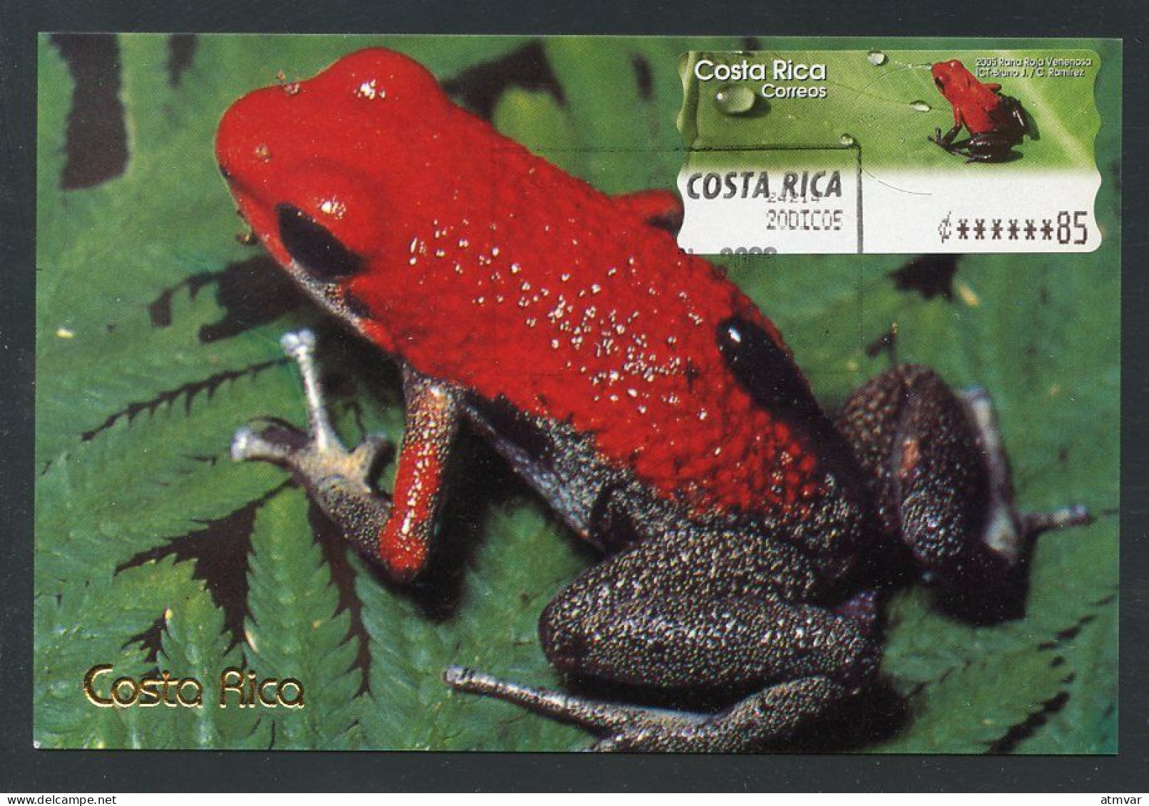 COSTA RICA - Carte Maximum Card - ATM - Rana Roja Venenosa / Poison Dart Frog / Dendrobates Granuliferus - Costa Rica